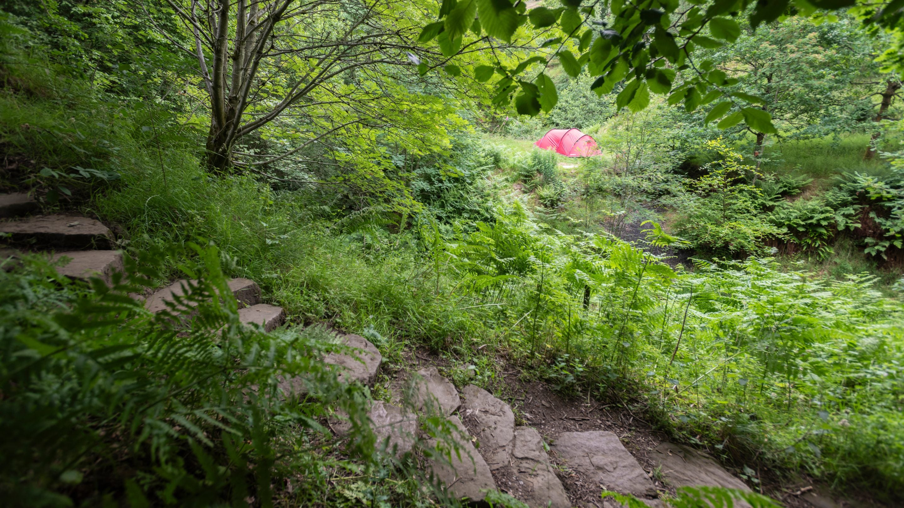 Crowden Brook small private pitch area at Upper Booth Farm Campsite, Derbyshire