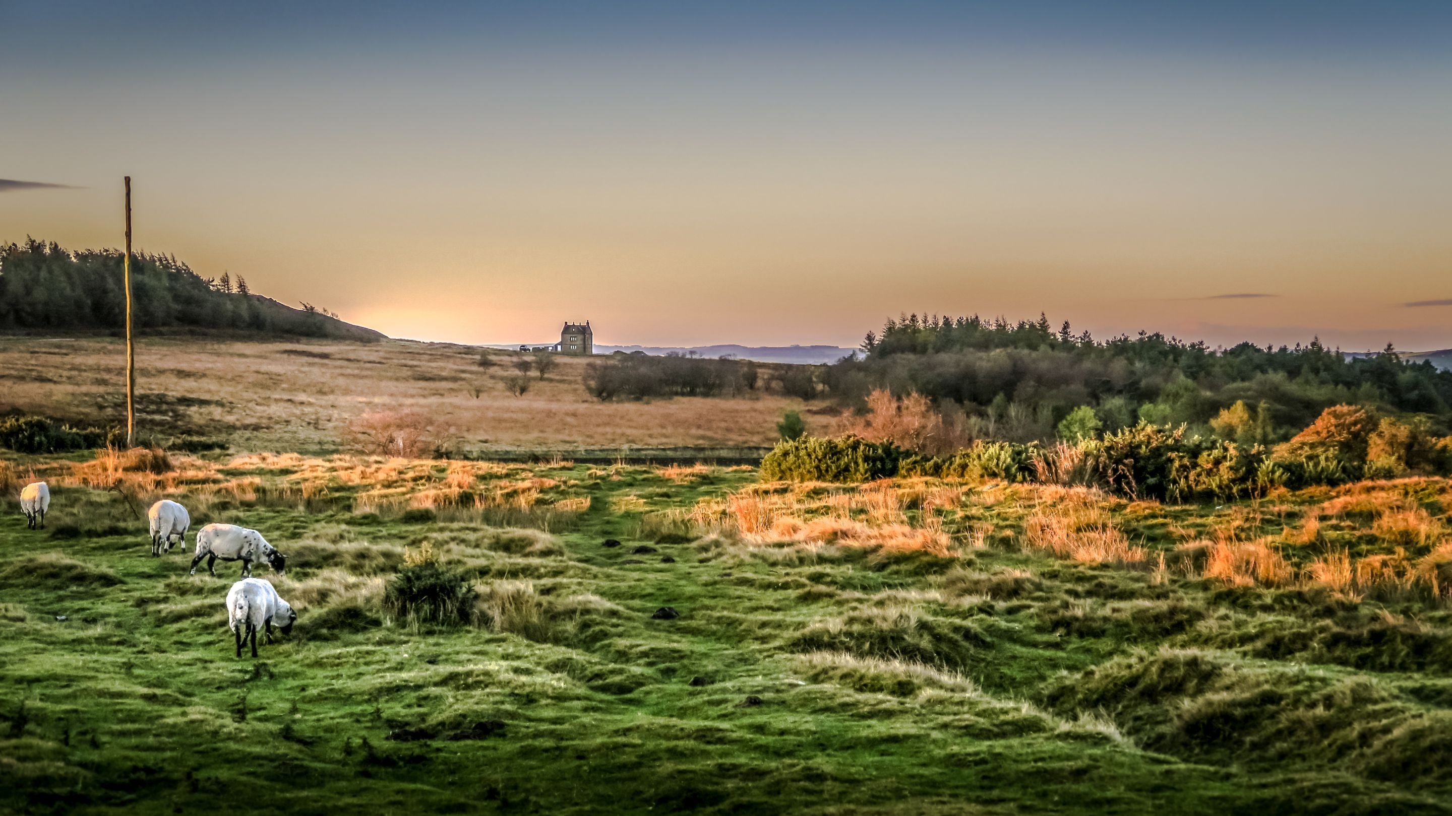 The moors with holiday cottage White Edge Lodge in the distance, a 10-minute drive from Yarncliff Lodge, Derbyshire