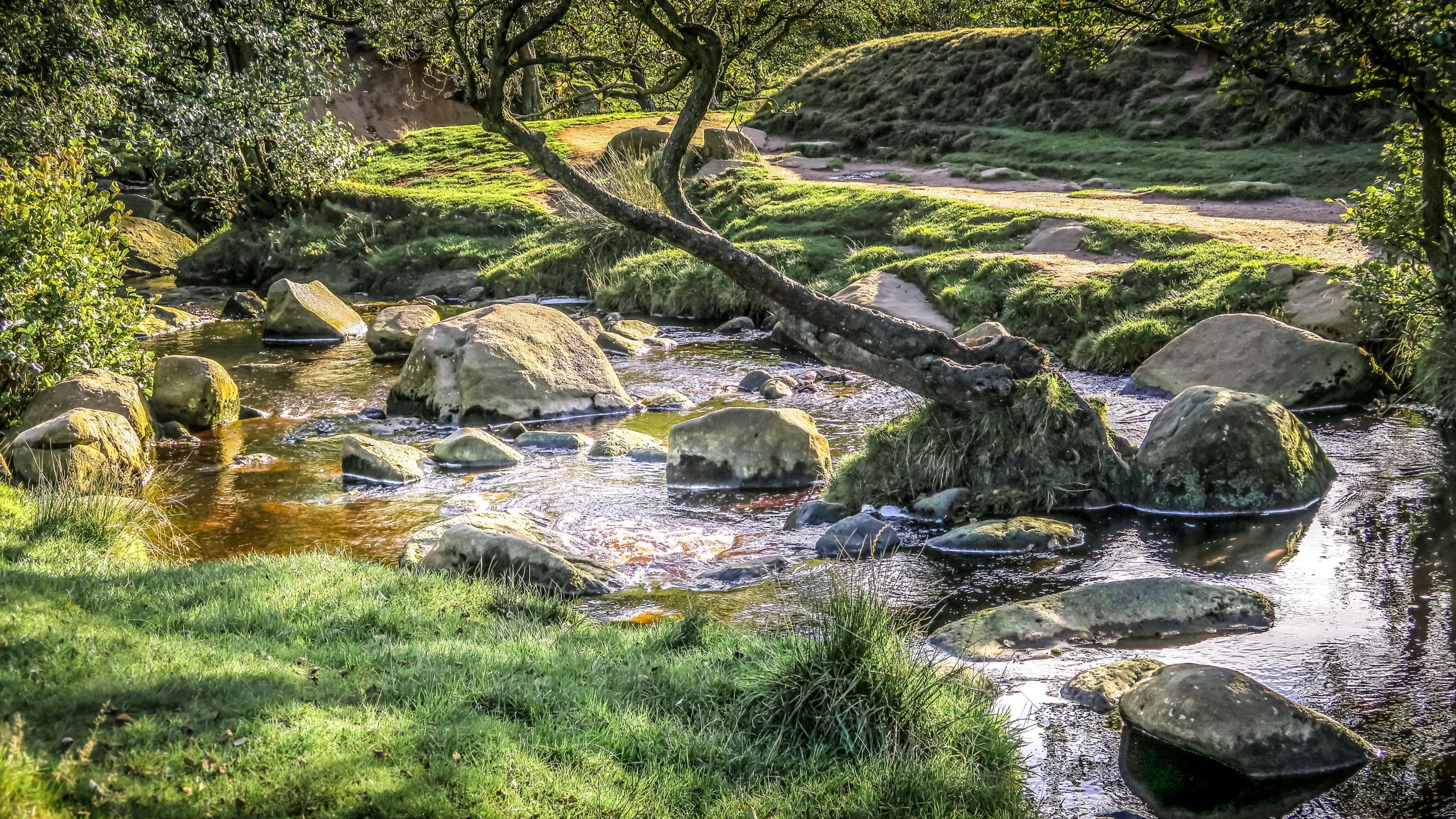 Longshaw and the area surrounding Yarncliff Lodge, Derbyshire