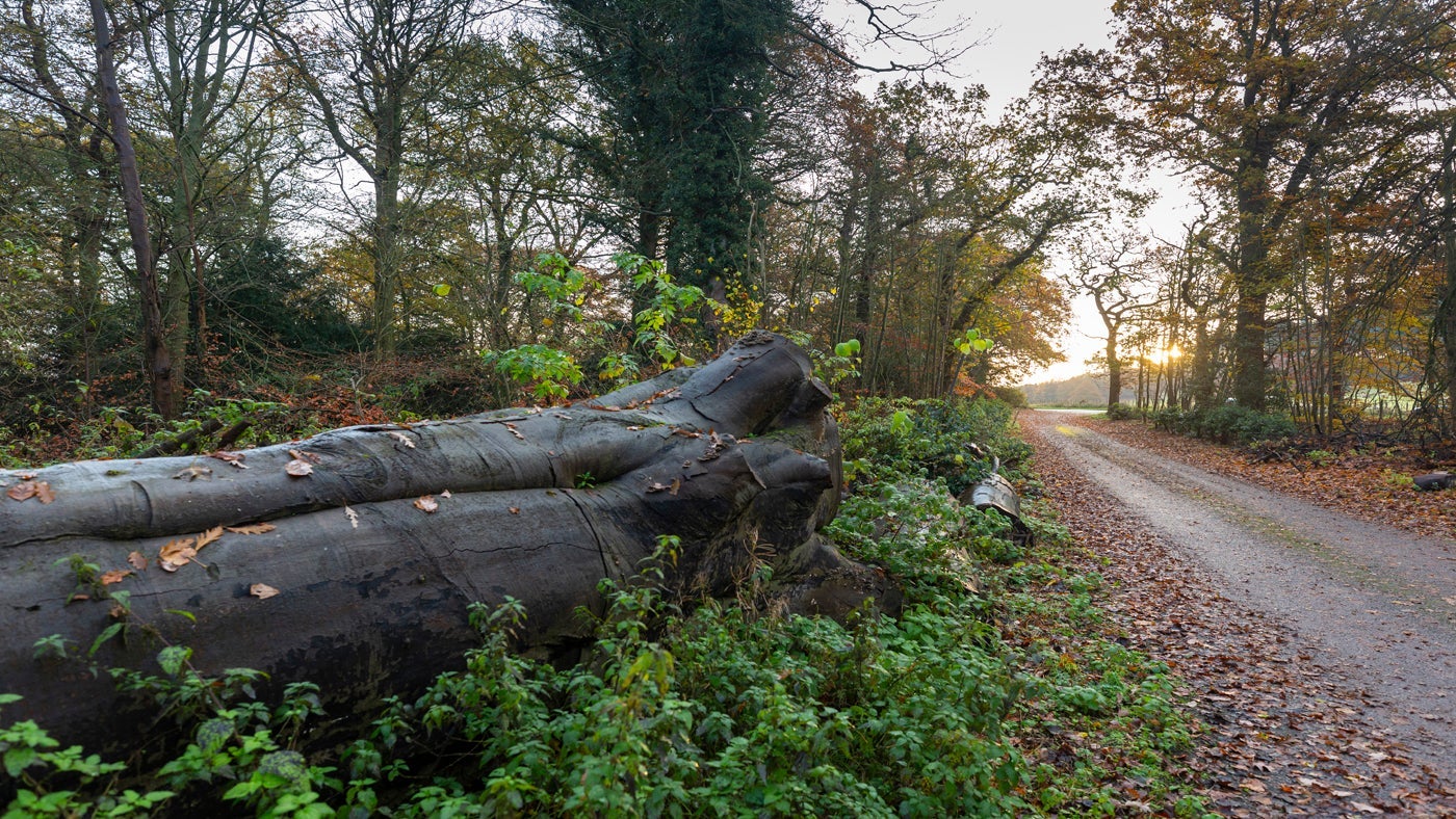 The surrounding area of 1 Lichfield Lodge, Staffordshire
