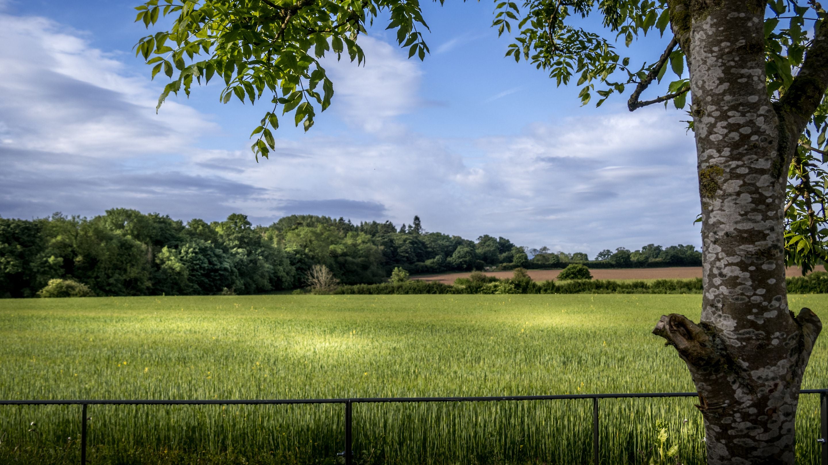 Fields in the area surrounding the barns - Tern, Wharf, Canal, Severn and Forge - on the Attingham Park estate, Shropshire