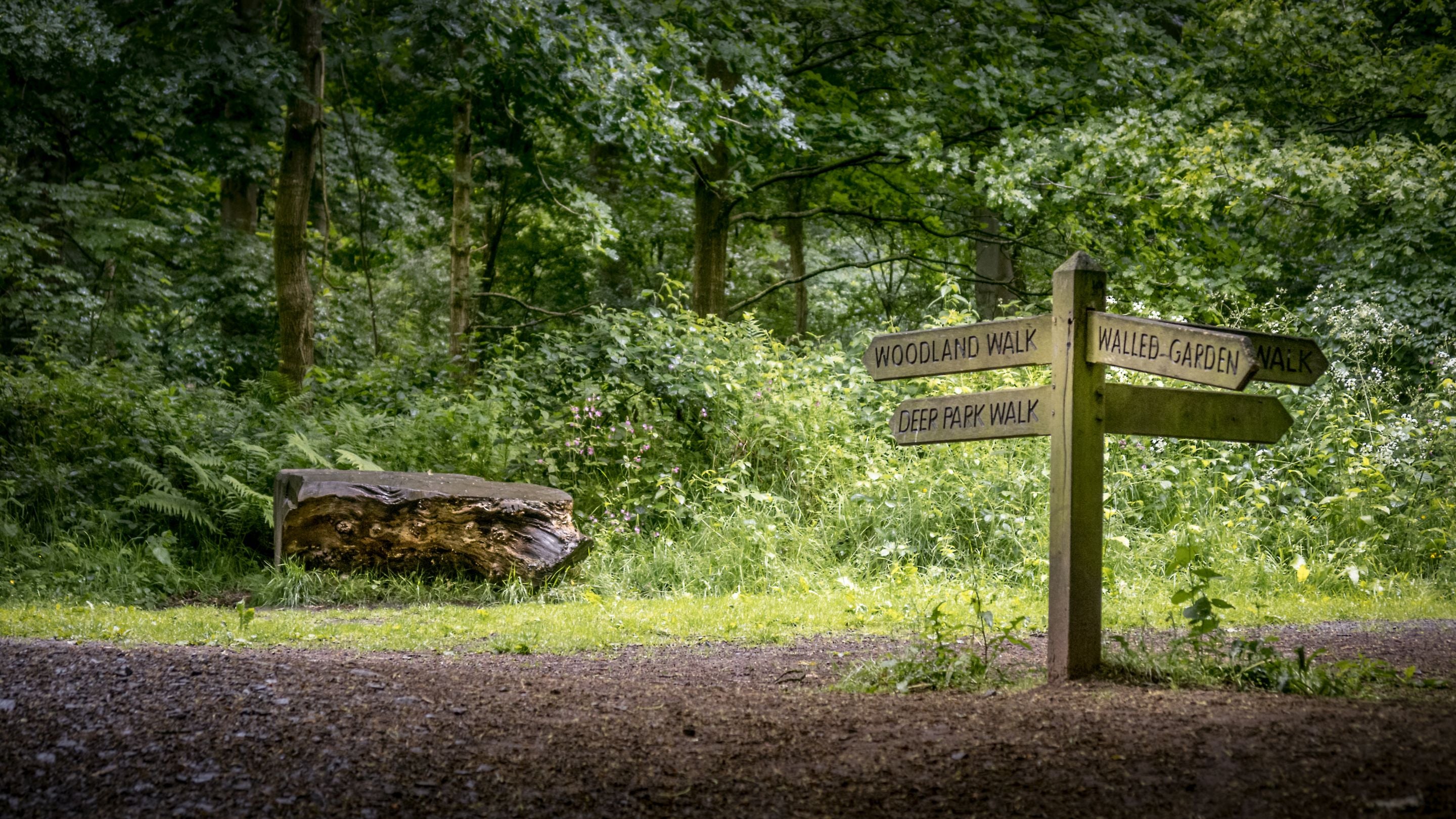 Trails at Attingham Park, Shropshire