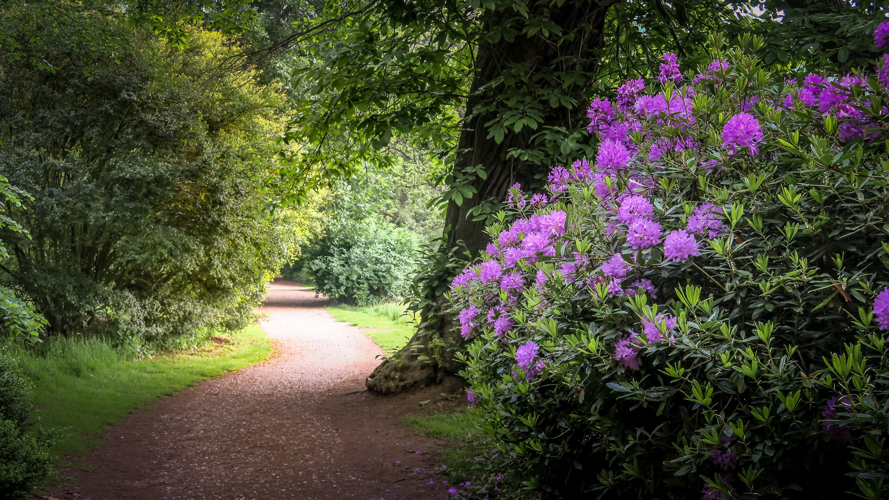 Attingham Park, Shropshire