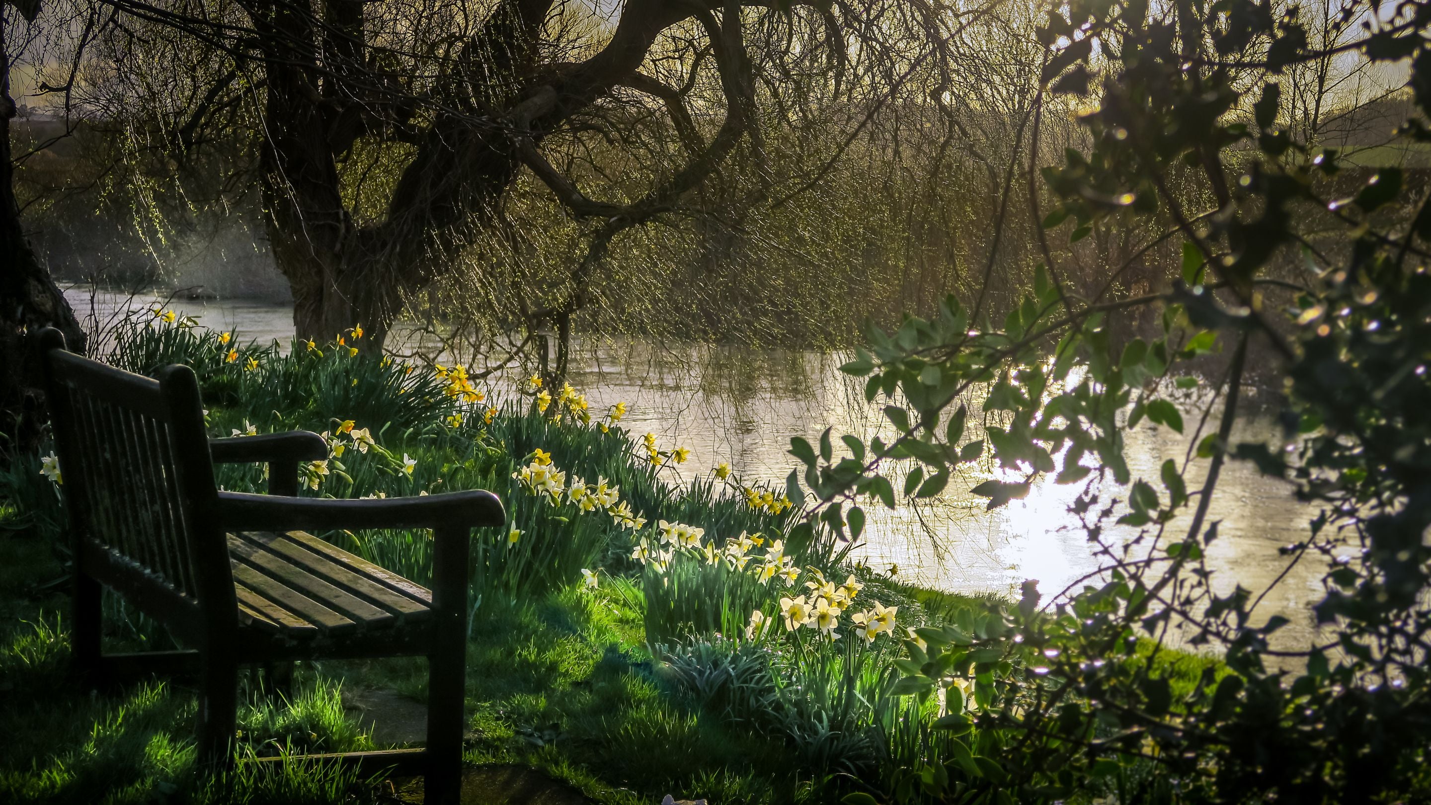 The River Tern on the Attingham Park estate, Shropshire
