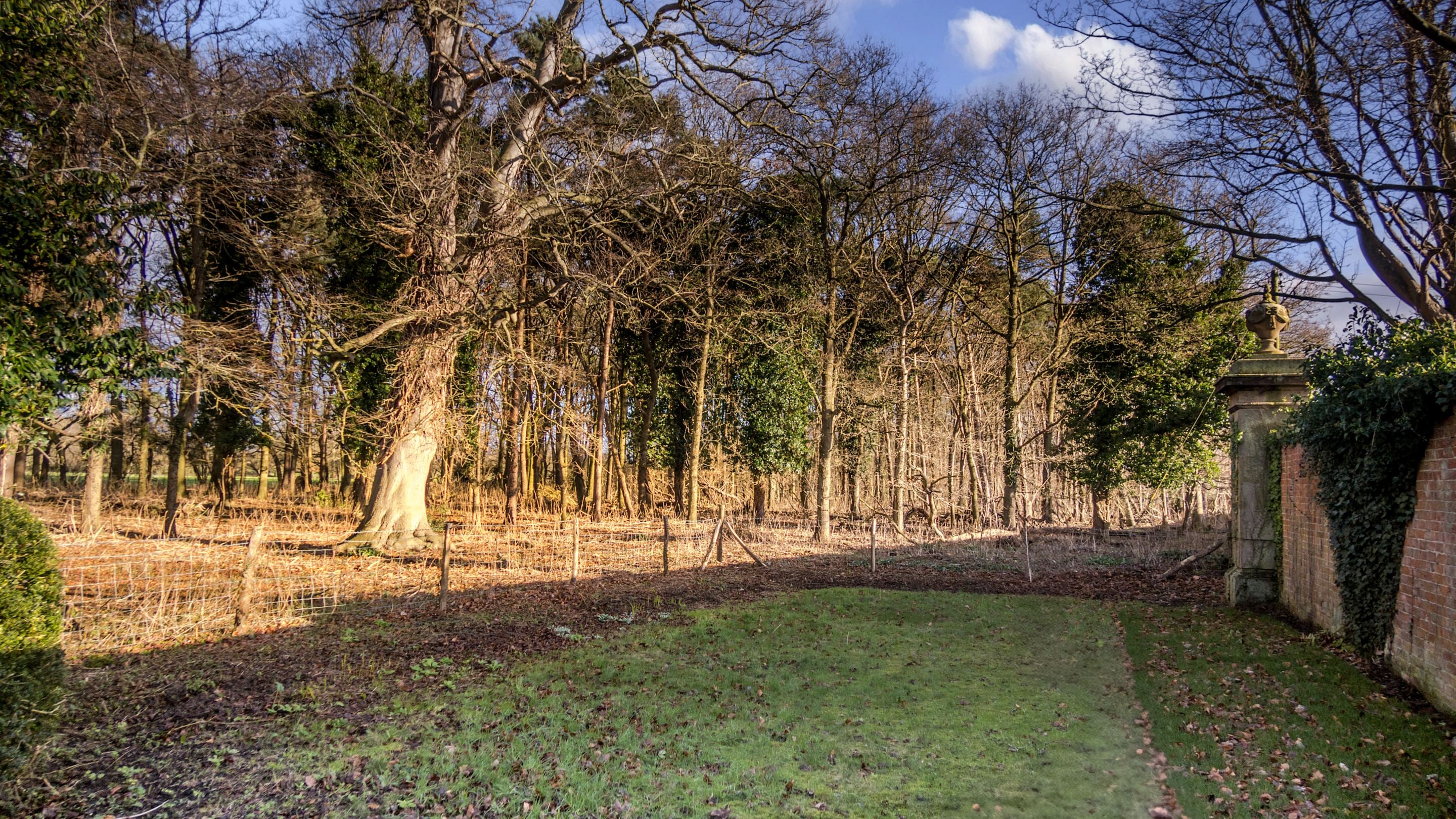 The private, lawned garden at Attingham East Lodge, Shropshire