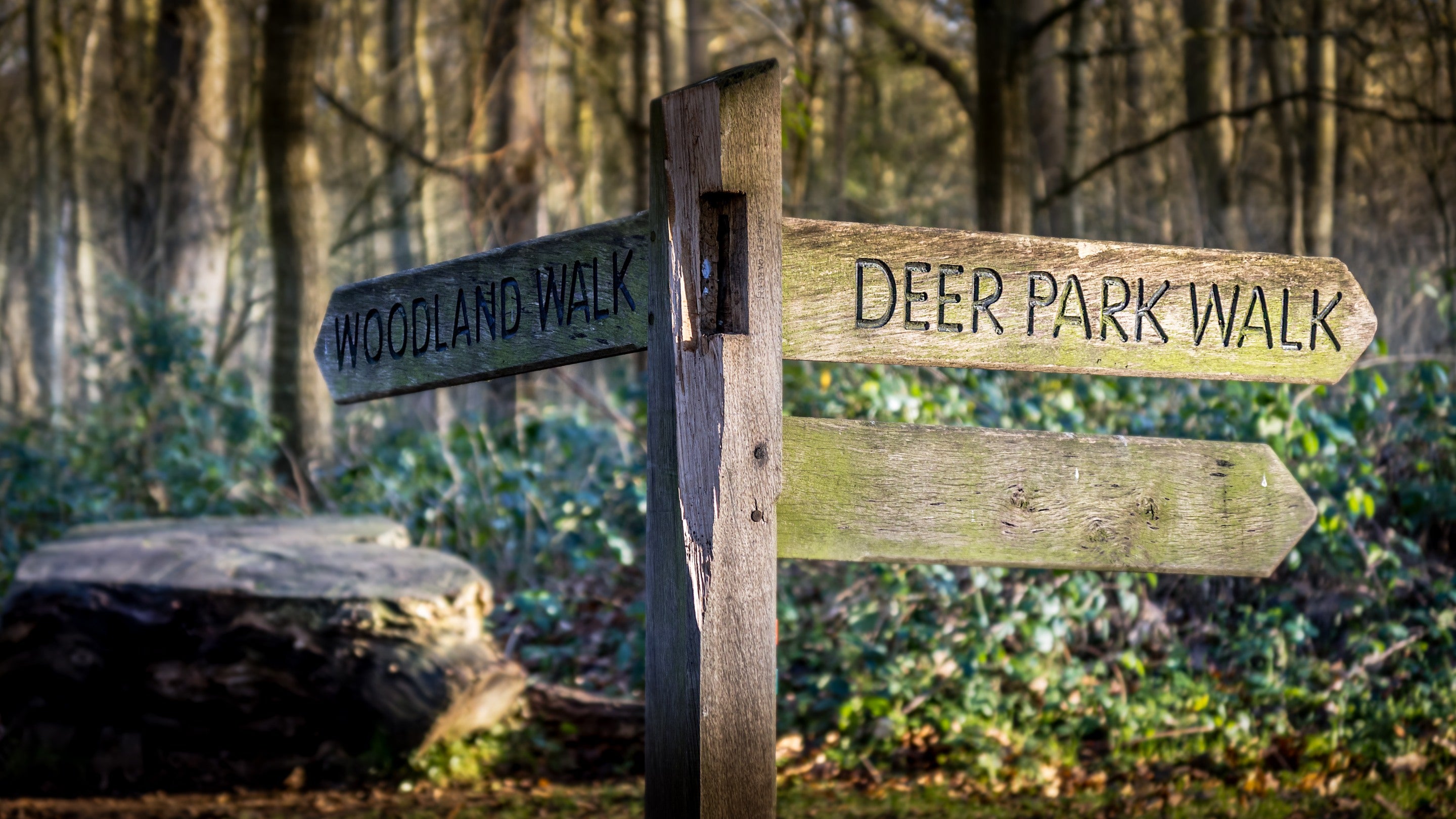 A sign for the Woodland Walk and Deer Park Walk at Attingham Park, Shropshire