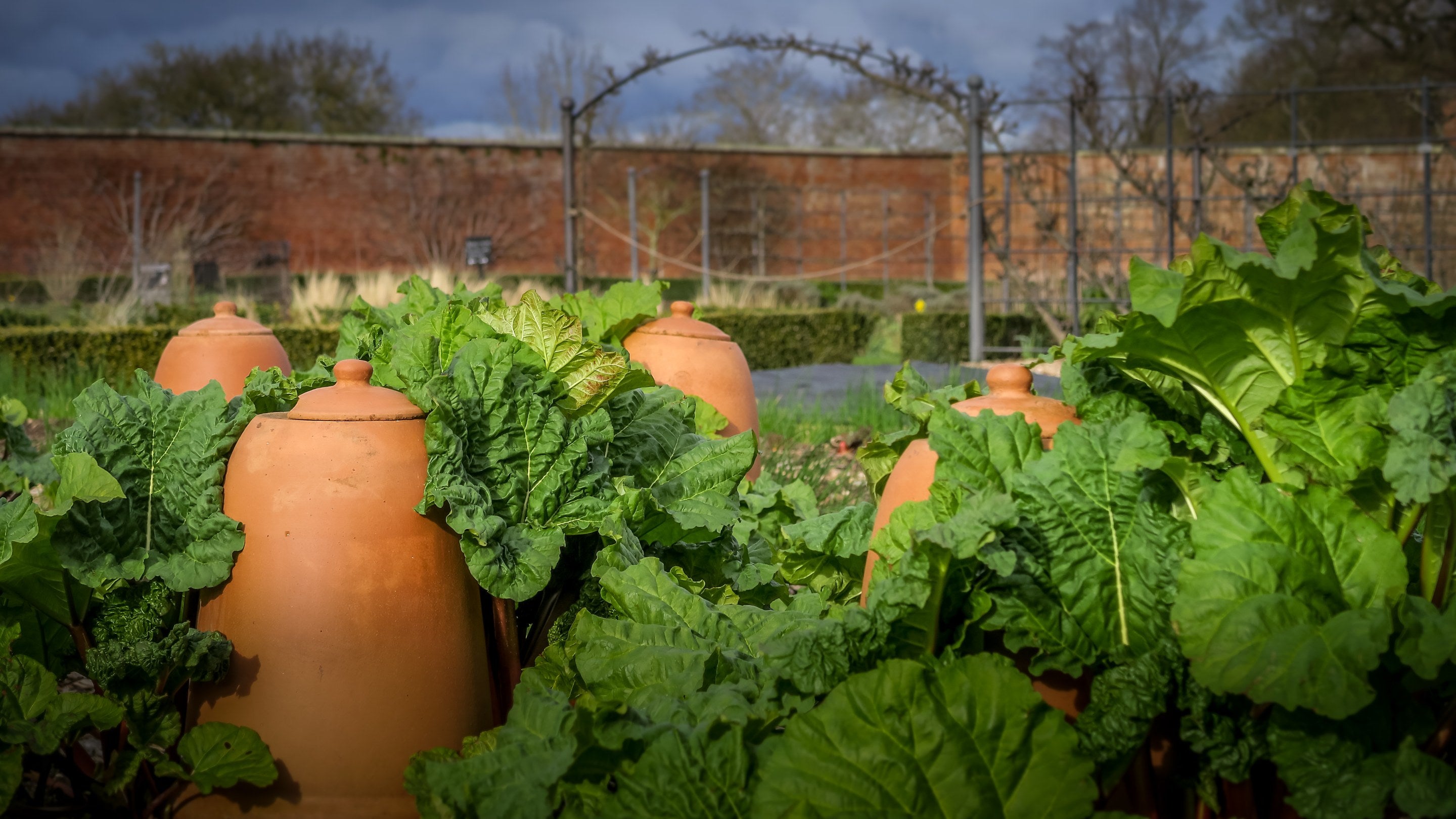 The walled garden at Attingham Park, Shropshire