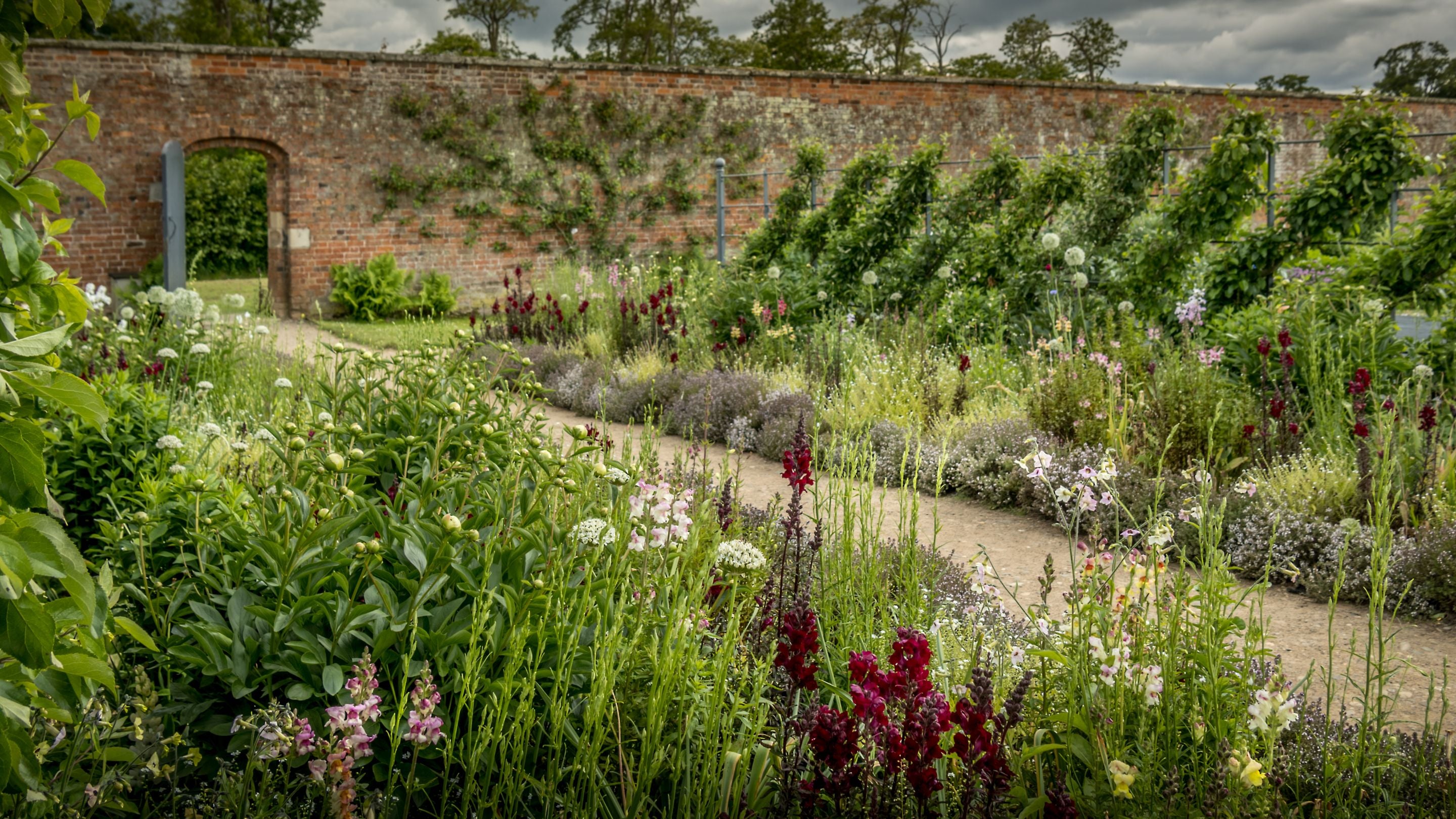 The walled garden at Attingham Park in summer, Shropshire