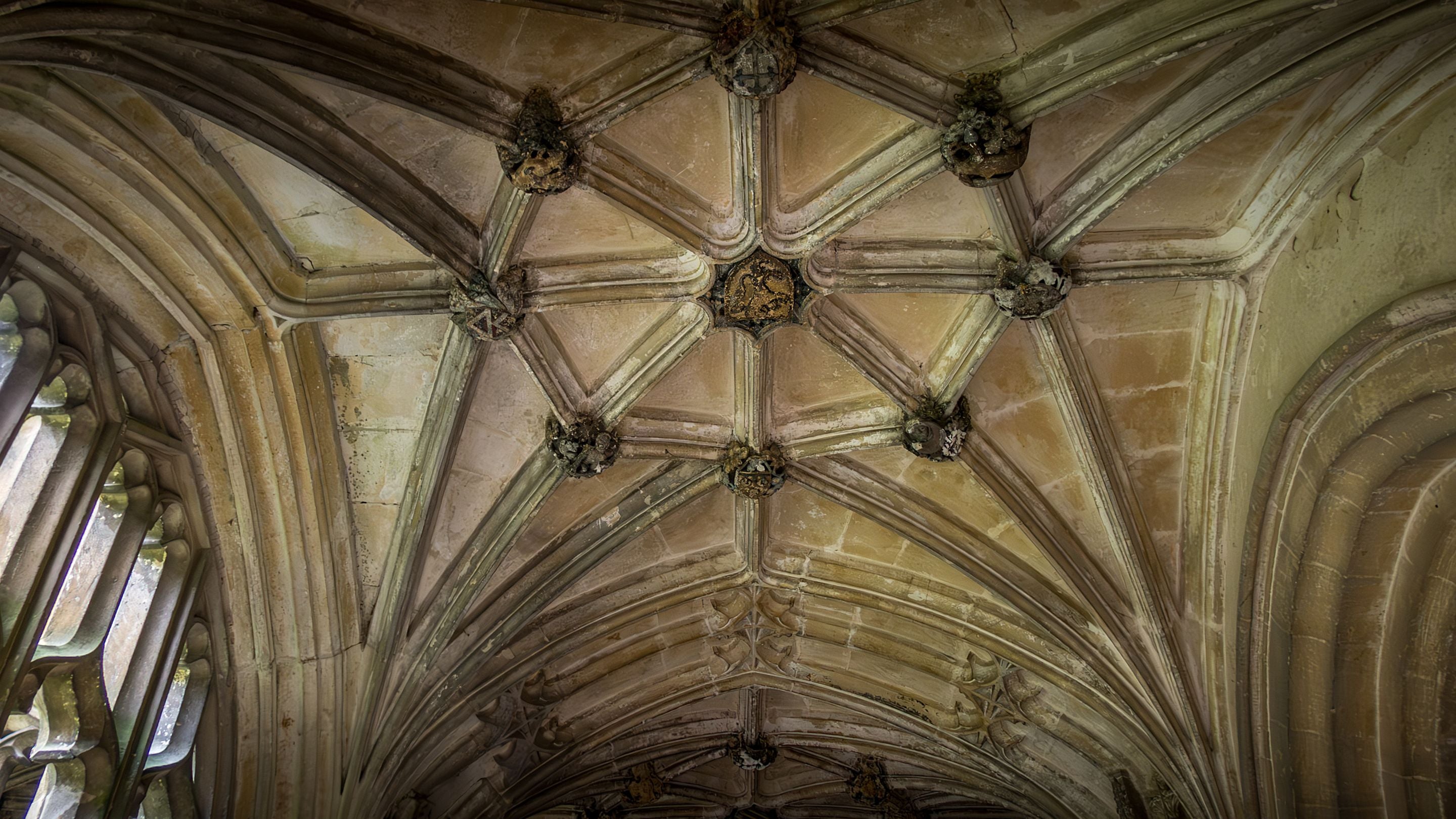 The ceiling of the medieval cloister at Lacock Abbey, Wiltshire