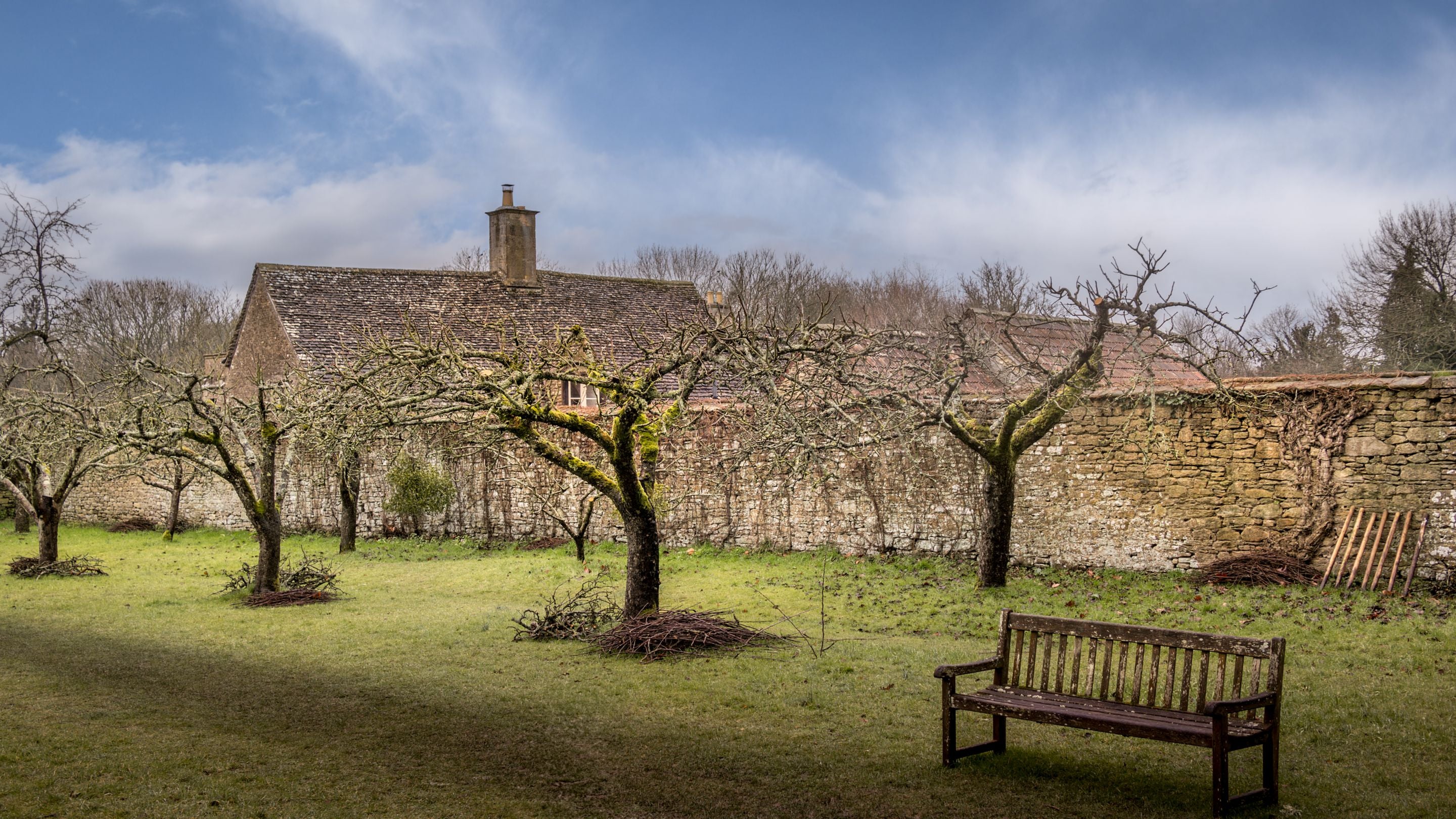 The orchard at Lacock Abbey in winter, Wiltshire