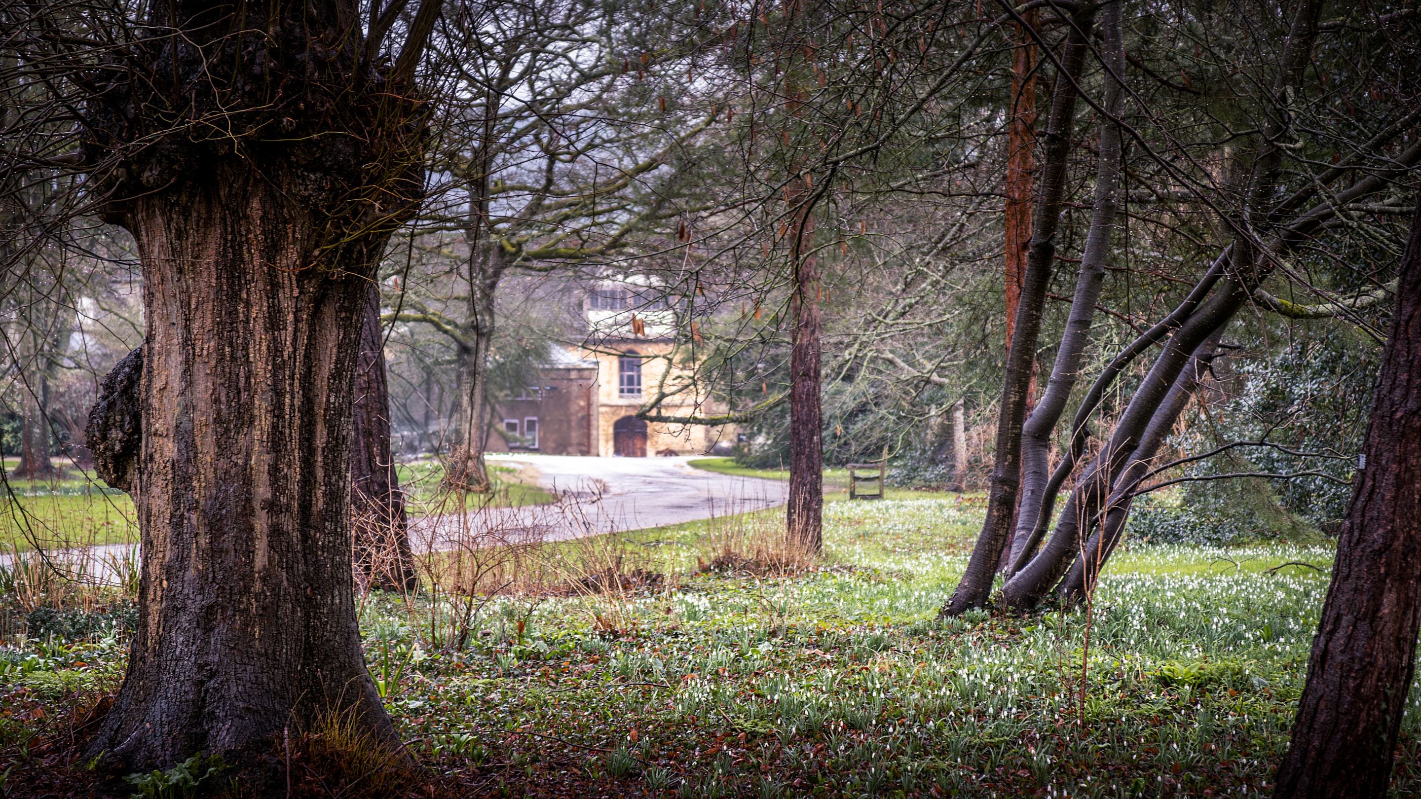 A trail at Lacock Abbey in winter, Wiltshire
