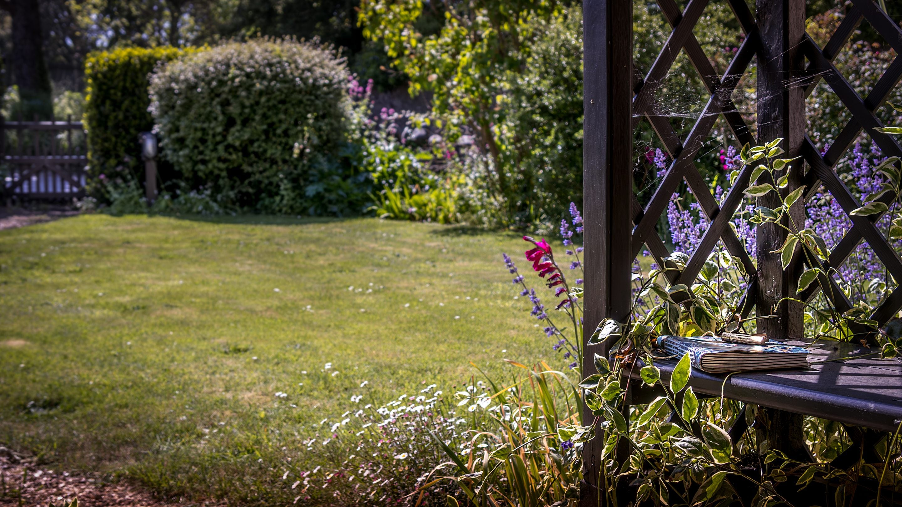 The enclosed front garden from the entrance porch at Cross Lane House, Somerset