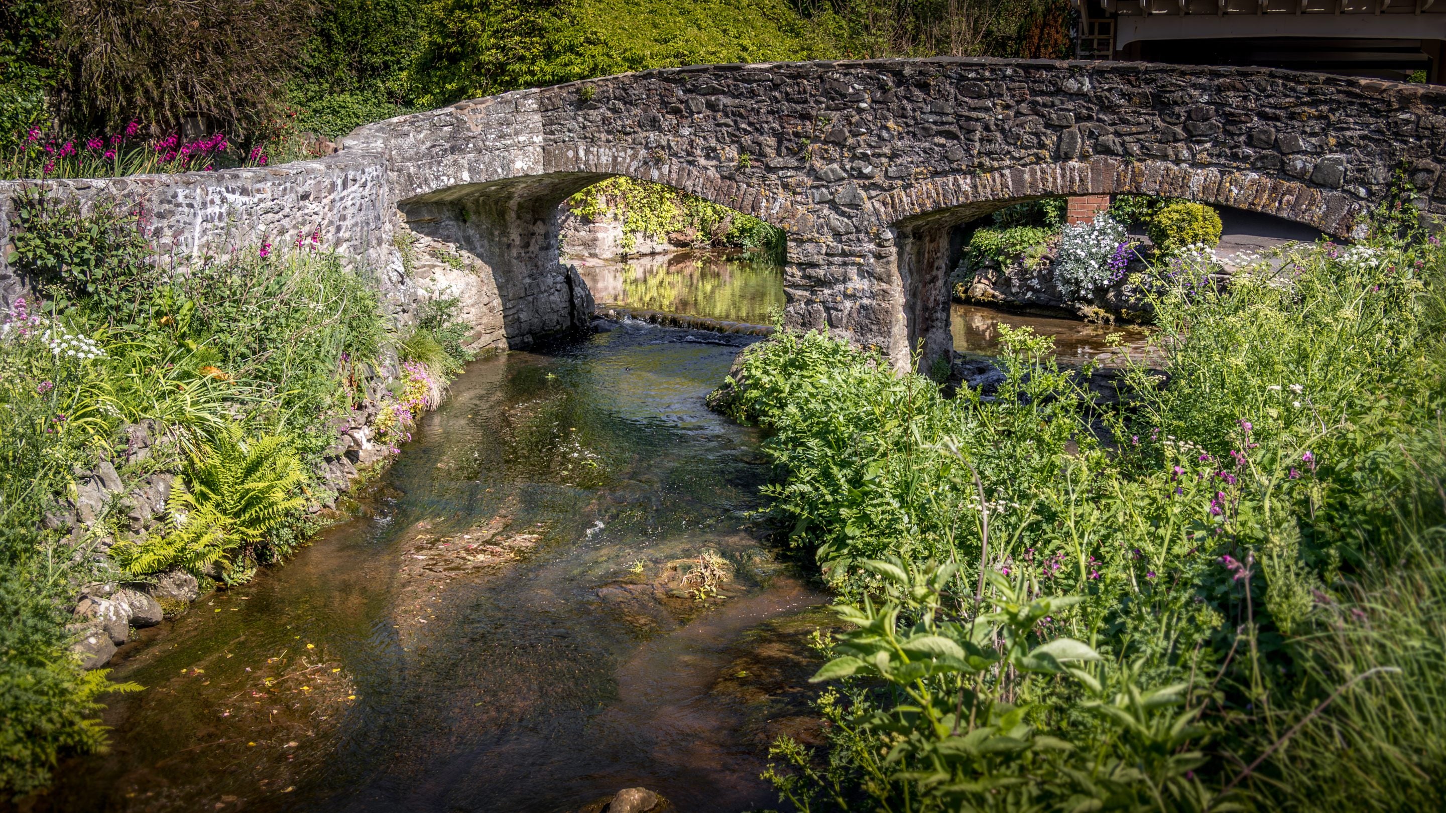 The river and bridge in the area surrounding Cross Lane House, Somerset