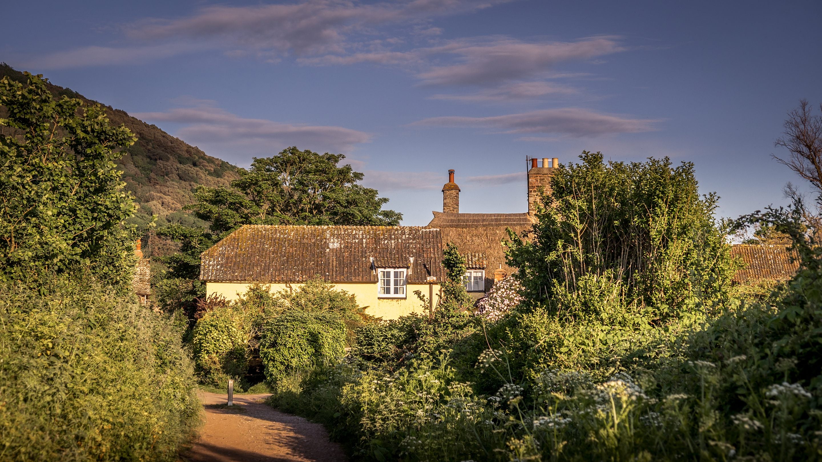 The garden at Holnicote Lower House, Somerset