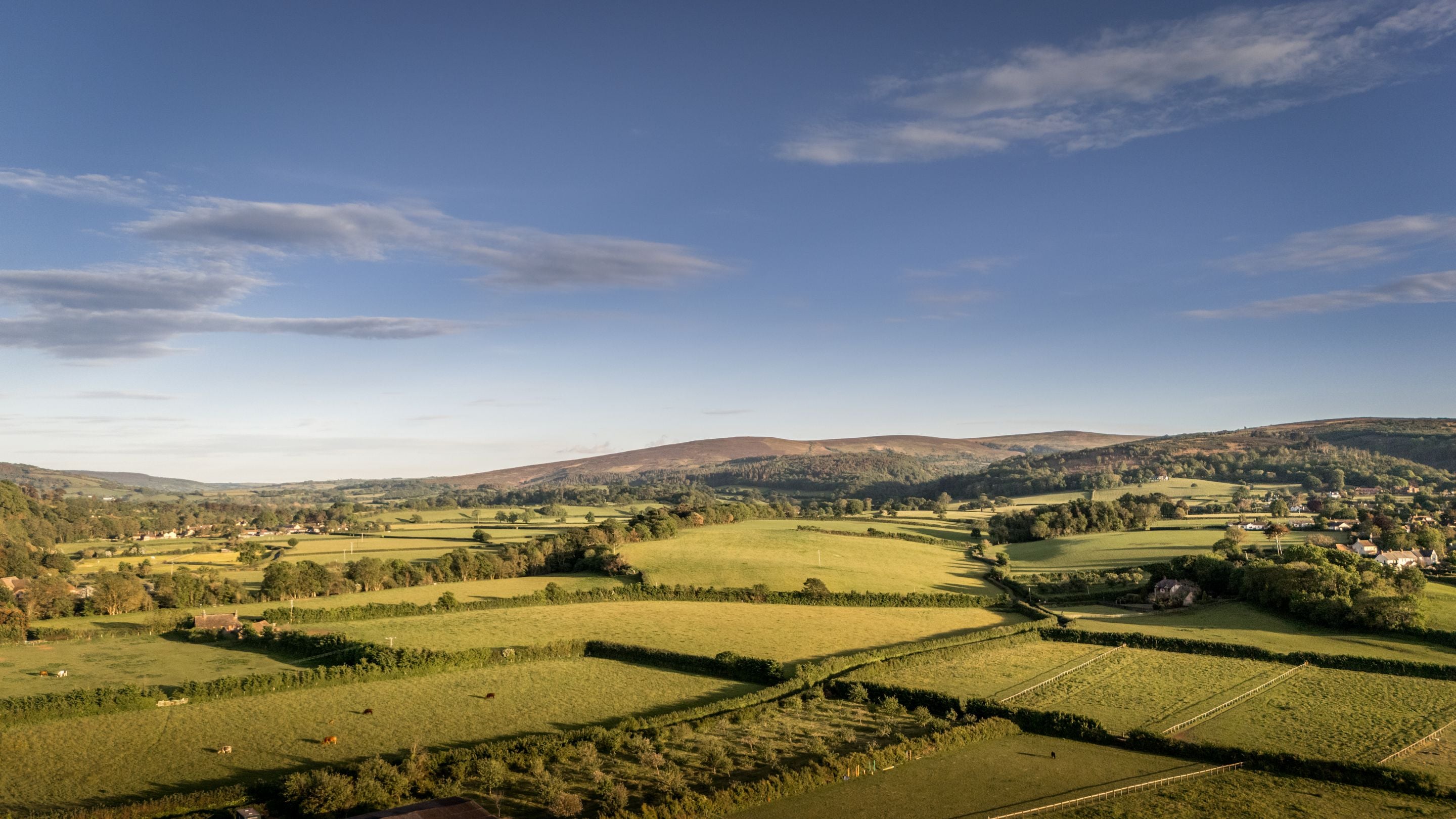 The fields and hills surrounding Holnicote Lower House, Somerset