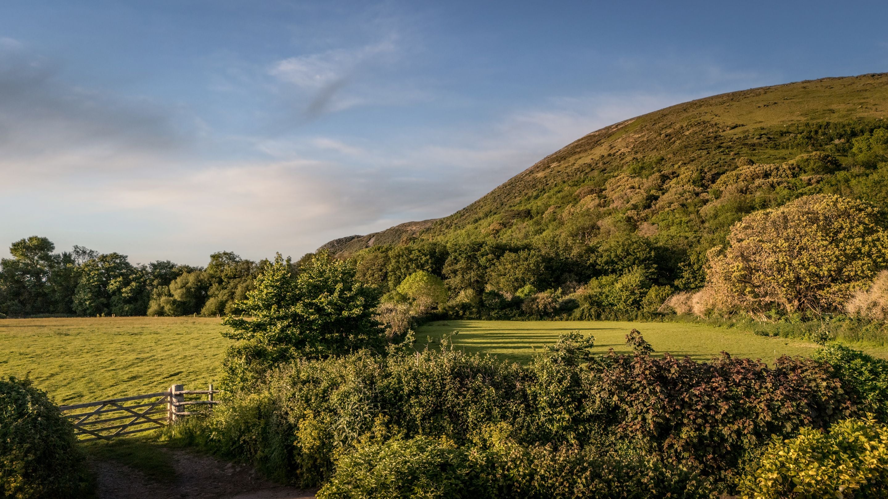 The fields and hills surrounding Holnicote Lower House, Somerset