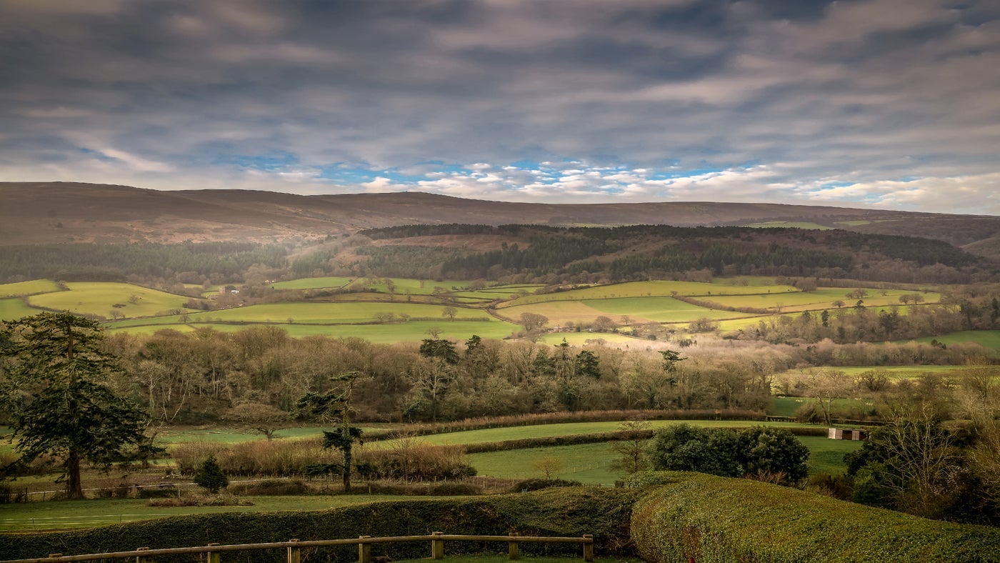 The surrounding area of Ivy's Cottage, Selworthy Green, nr Minehead, Somerset