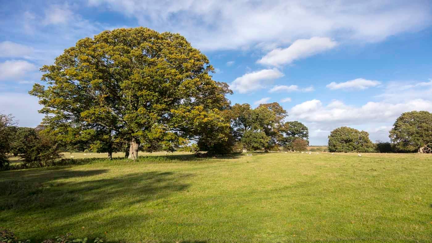 The surrounding area of Odcombe Lodge, Lower Odcombe, Somerset