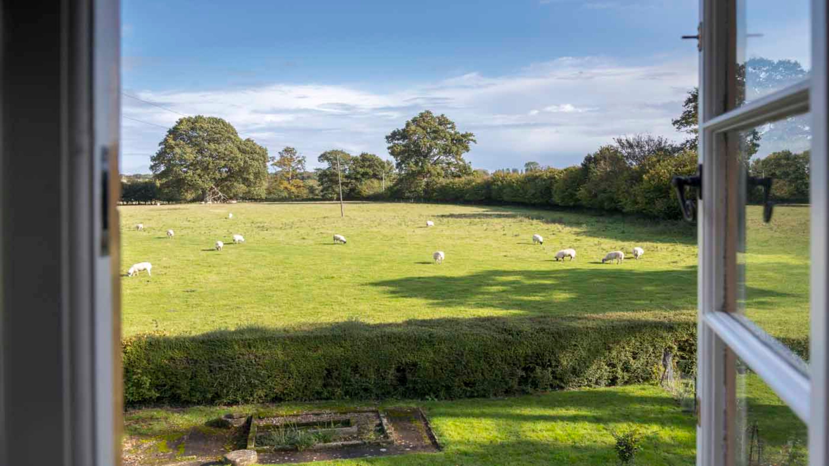 The view from Odcombe Lodge, Somerset