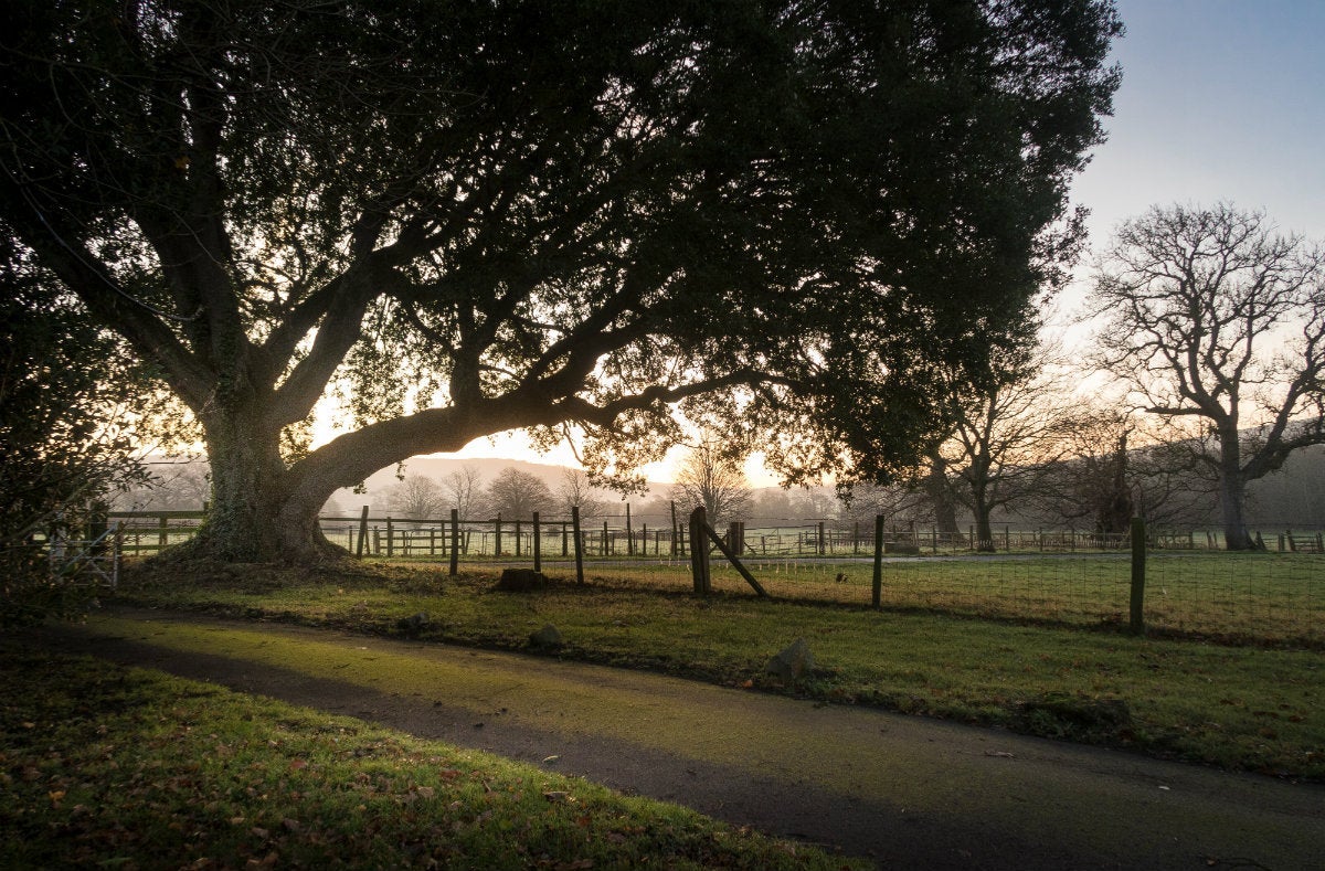 The local area near the Old Gateway Cottage, Holnicote Estate, Somerset 