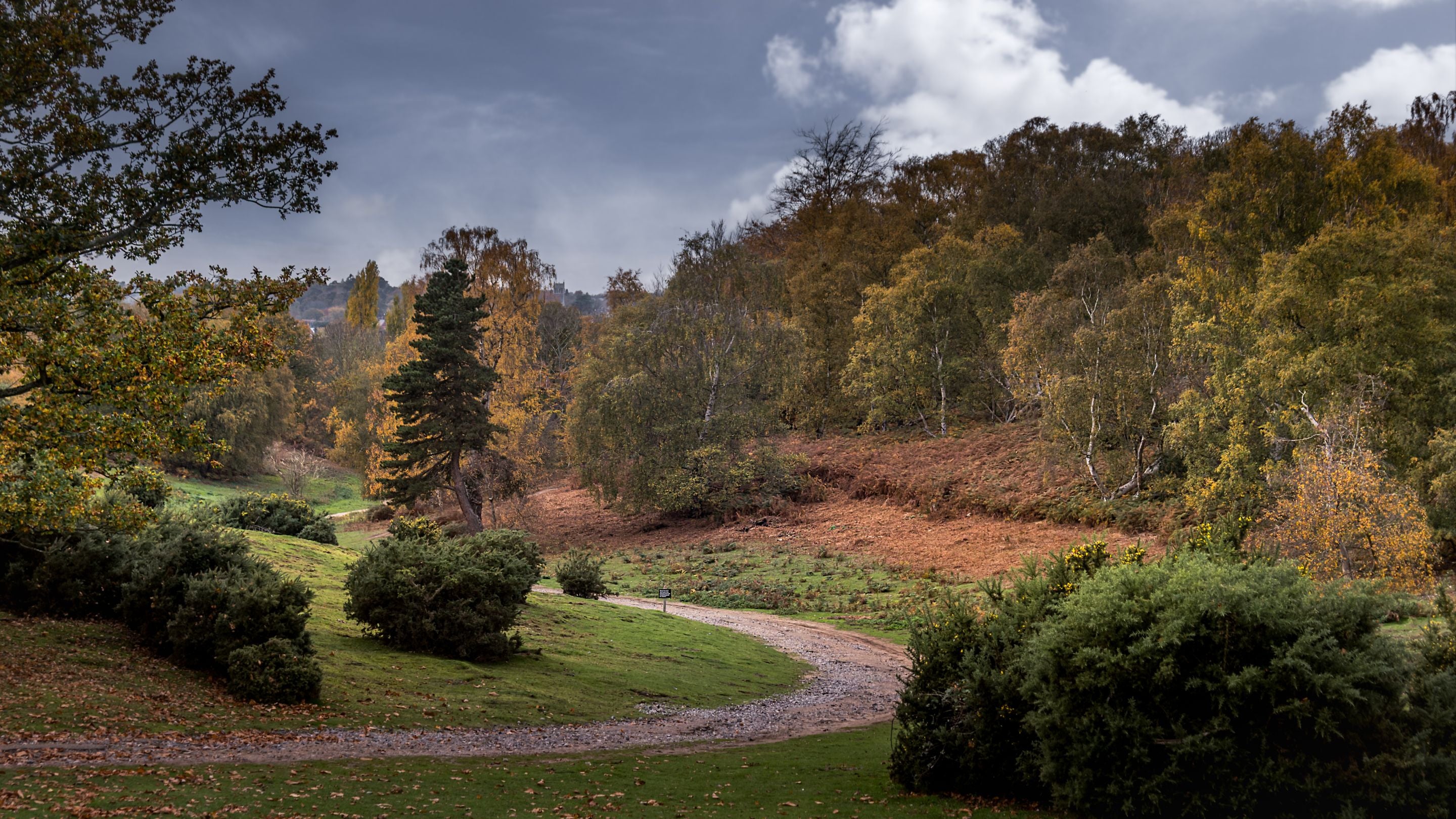 A footpath at Sutton Hoo, Suffolk