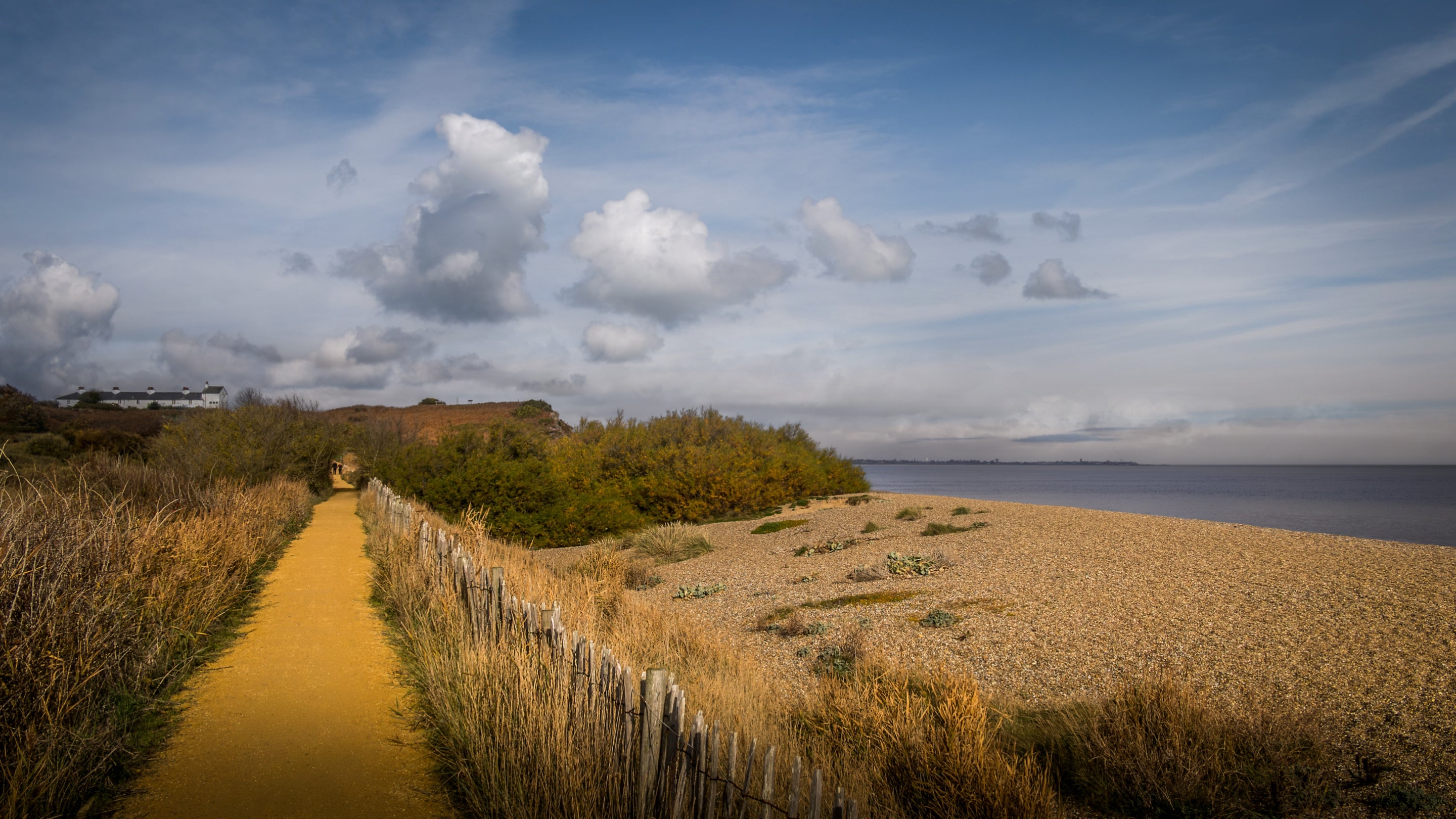 Dunwich Heath and Beach, the surrounding area of Nightjar, Suffolk