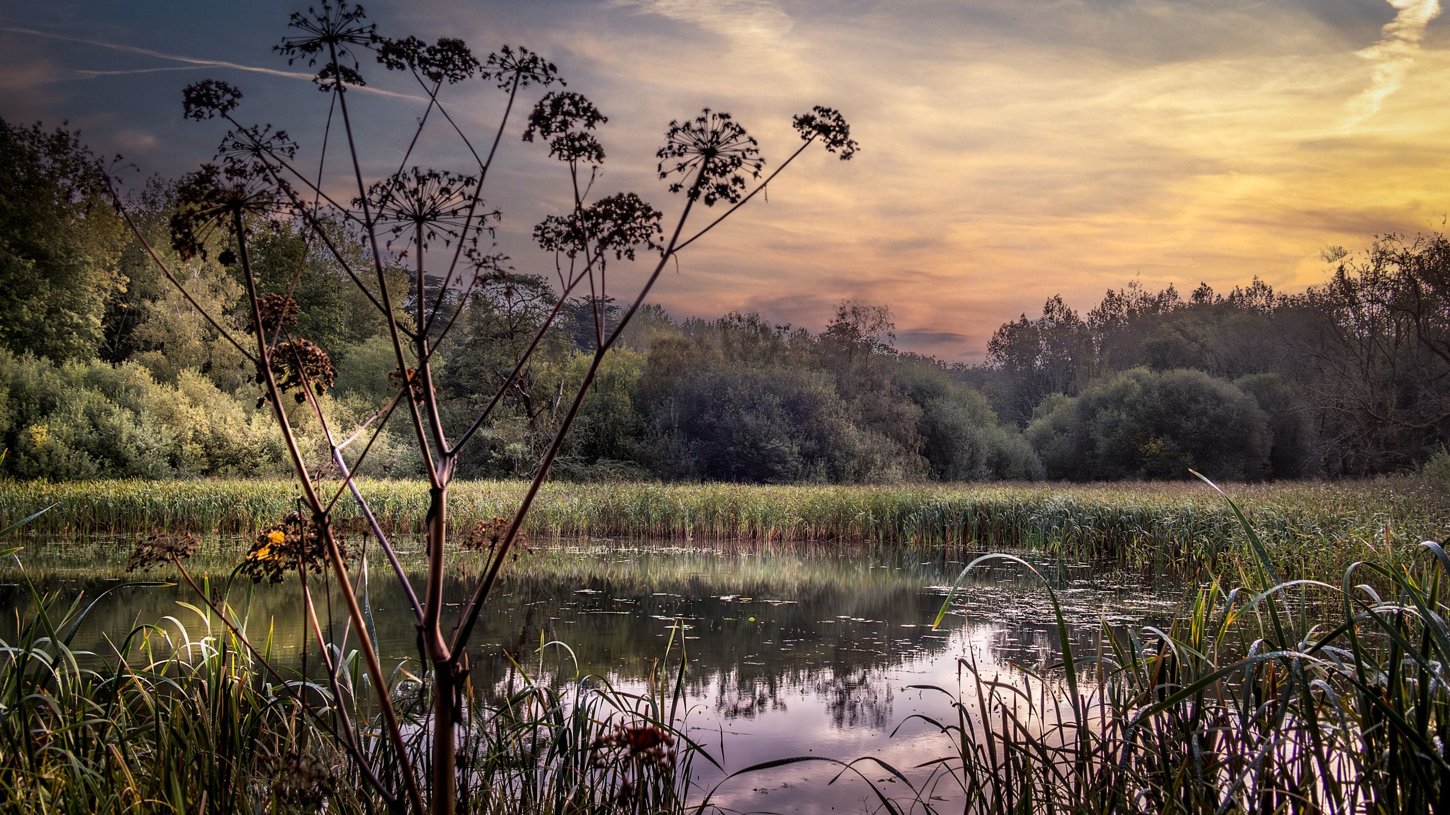Fairy lake and the surrounding woodland on the Ickworth Estate, near The Round House, Suffolk