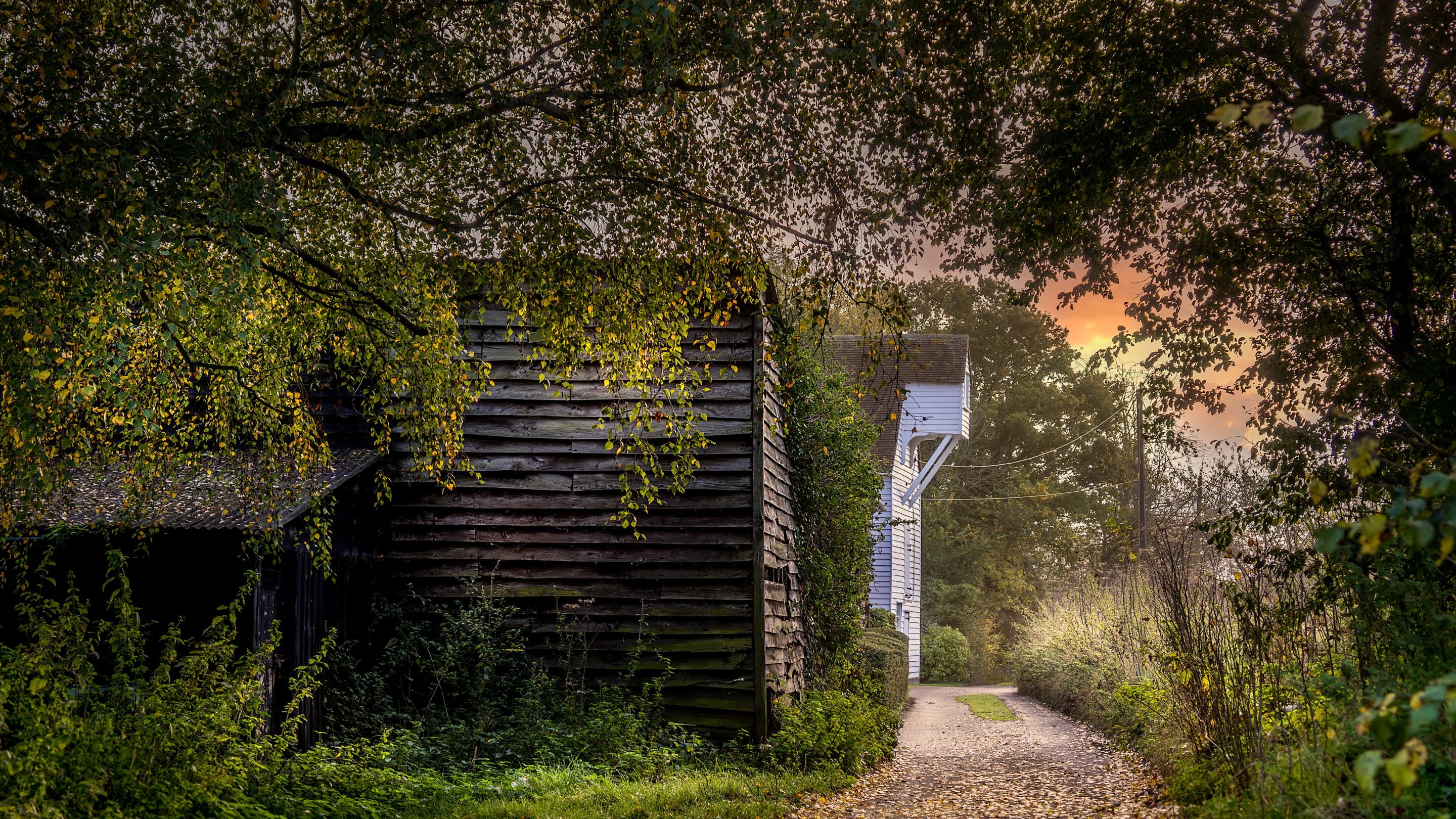 Timber buildings and trees in the surrounding area of Thorington Hall in autumn, Suffolk