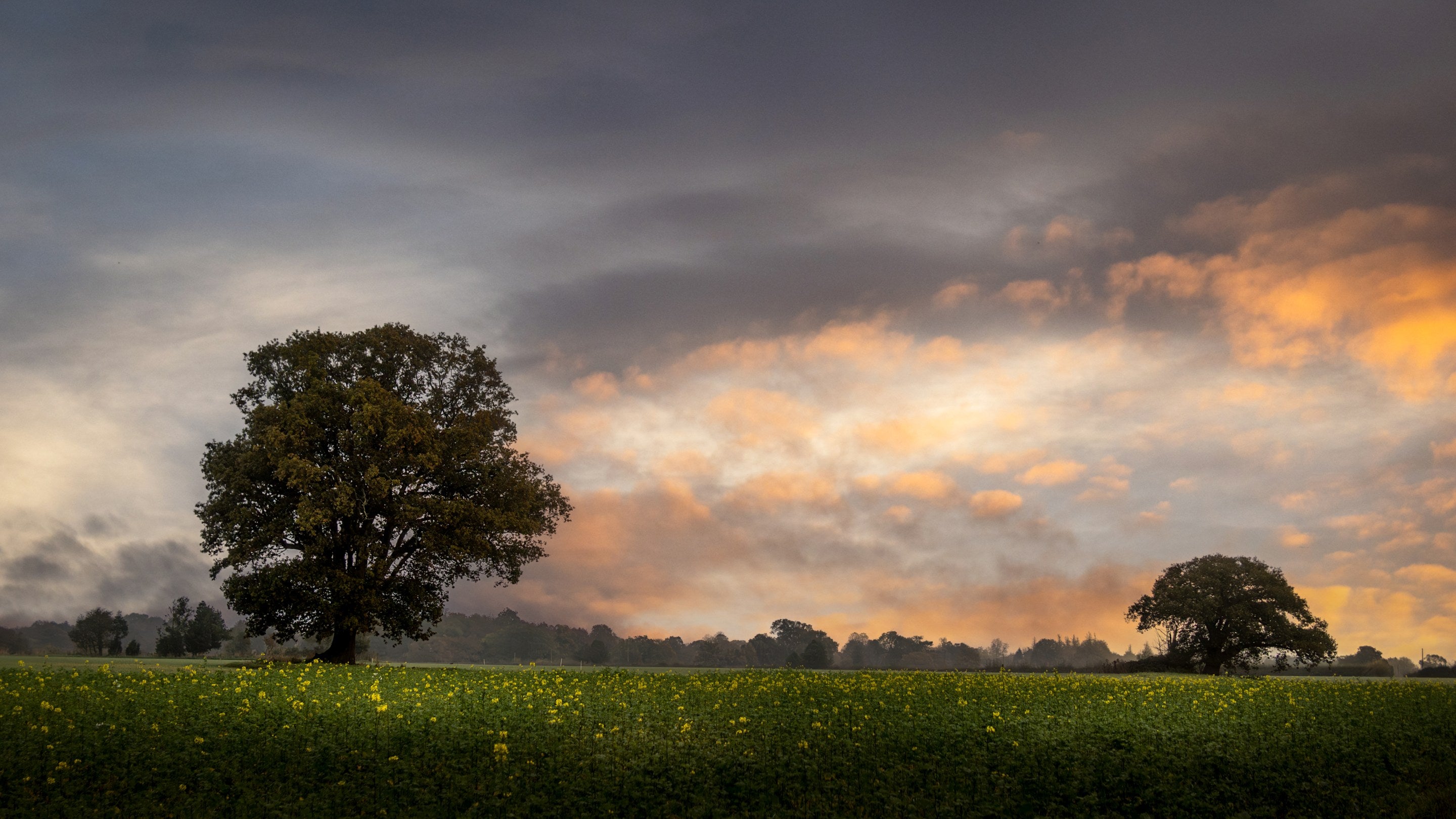 The surrounding area of Thorington Hall, Suffolk