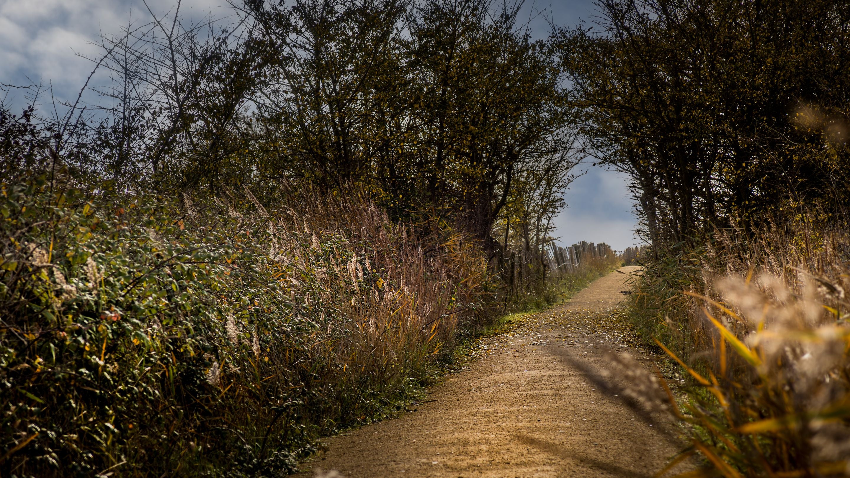 One of the footpaths at Dunwich Heath close to Woodlark, Suffolk