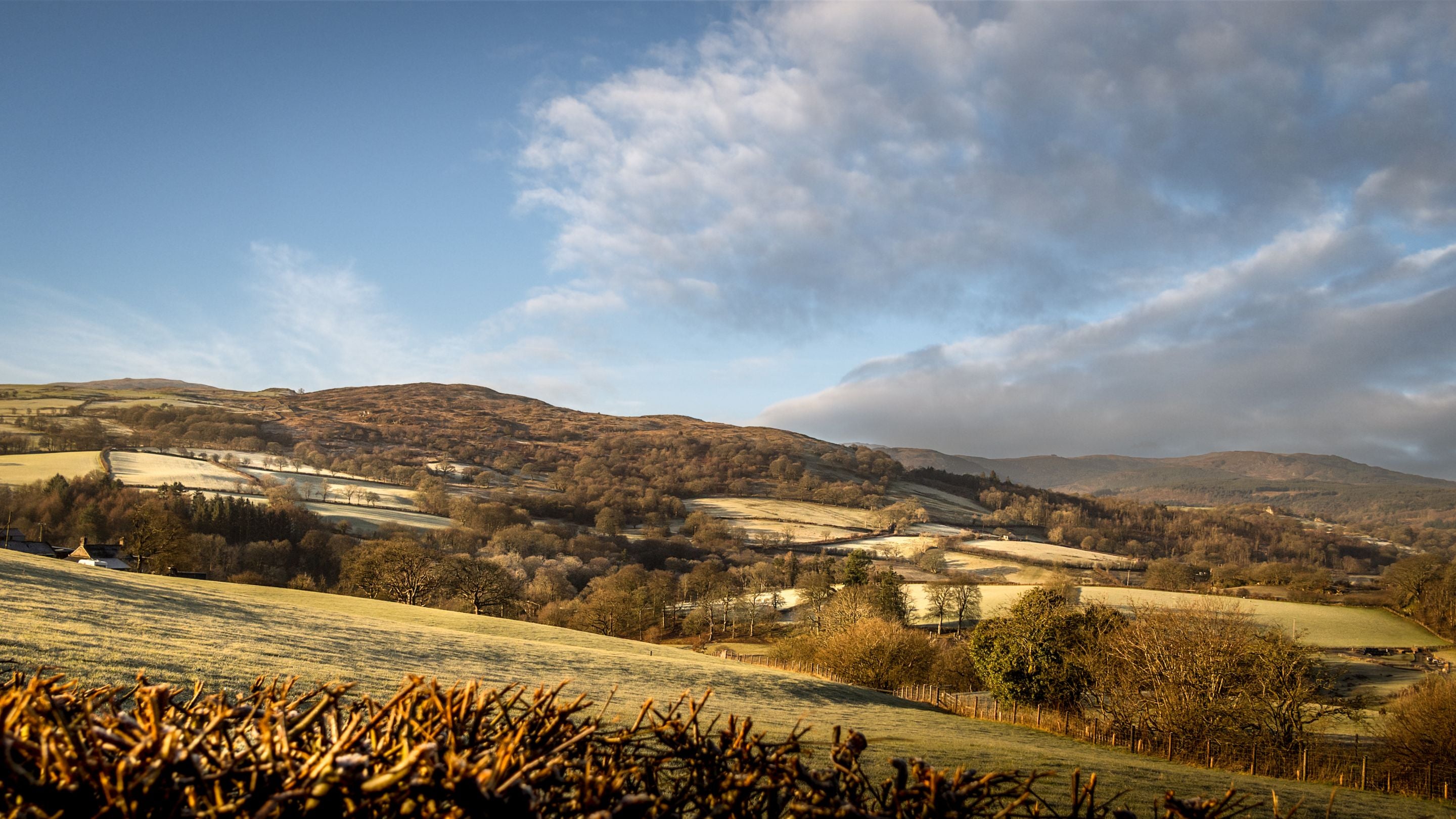 The area surrounding 2 and 3 Siloam Cottage, Conwy
