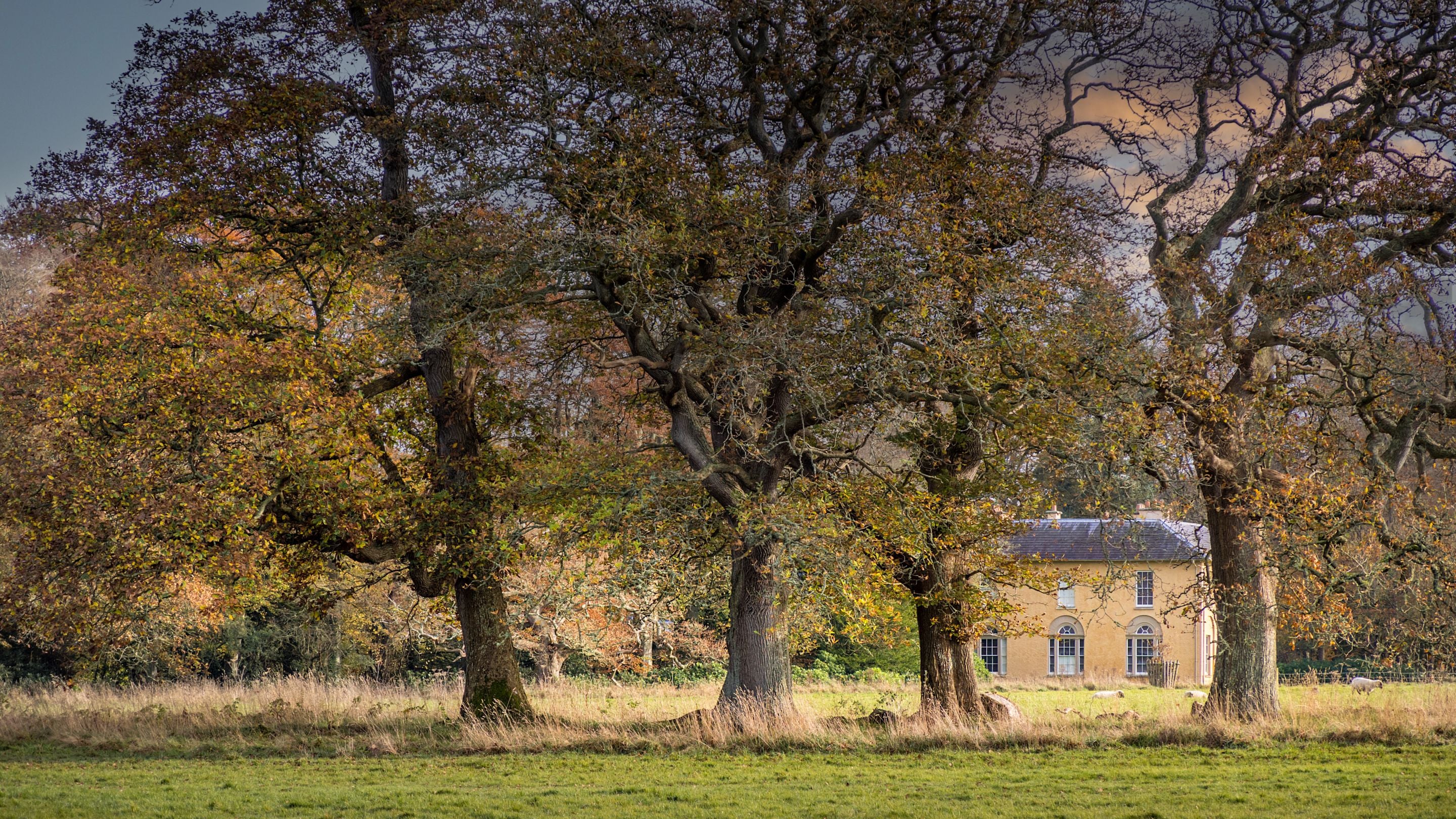 The Georgian Villa at Llanerchaeron, near Abermydyr and Pontbrenmydyr cottages, Ceredigion