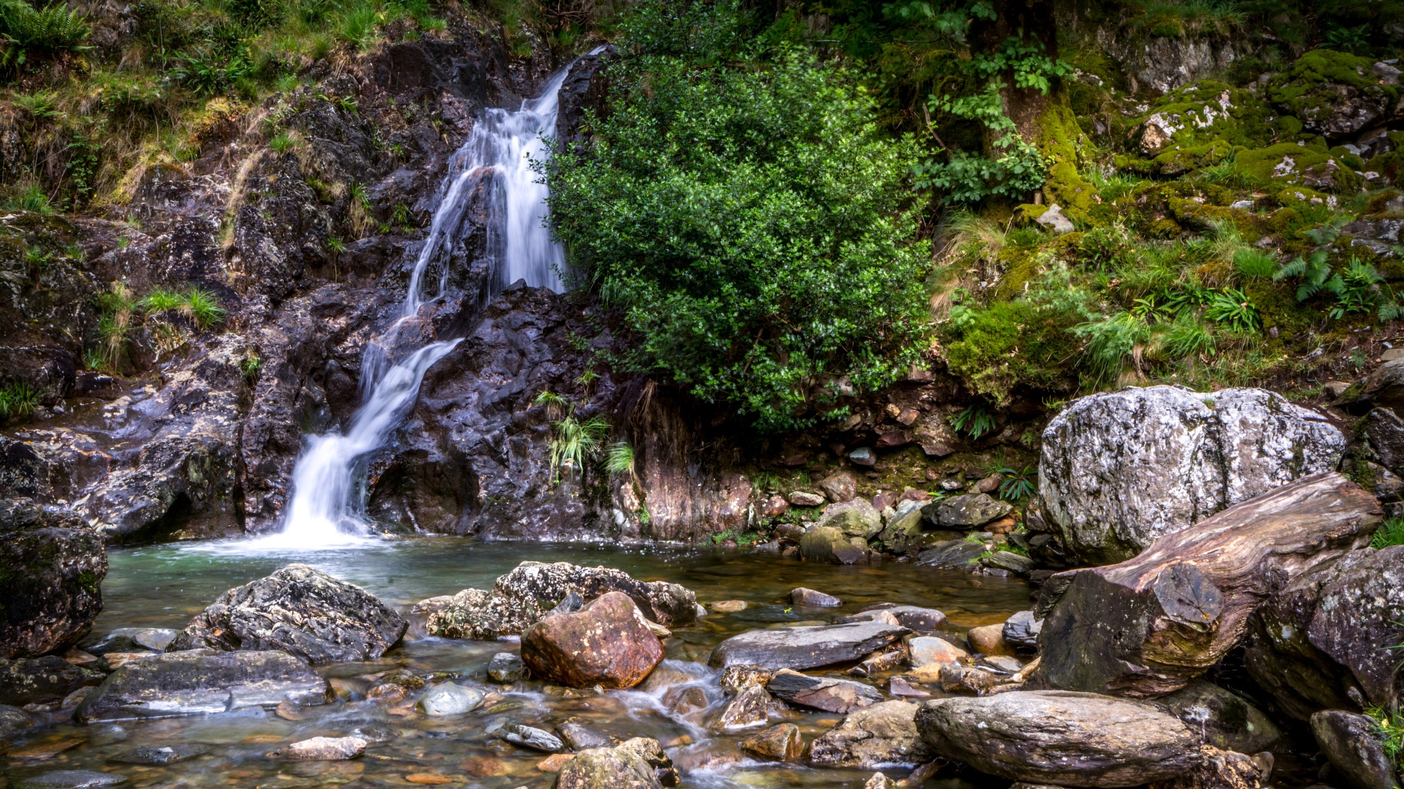 The area surrounding Beudy'r Gelli Bothy, Gwynedd