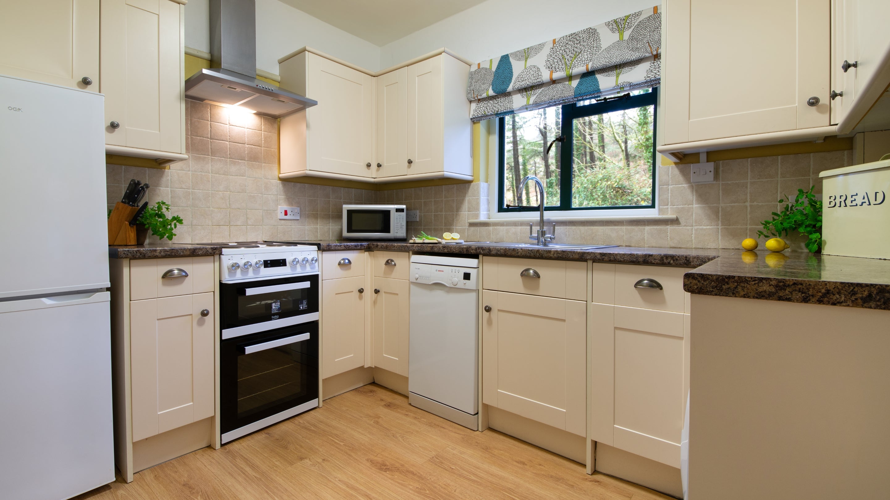 The kitchen at Burrows Cottage, Swansea