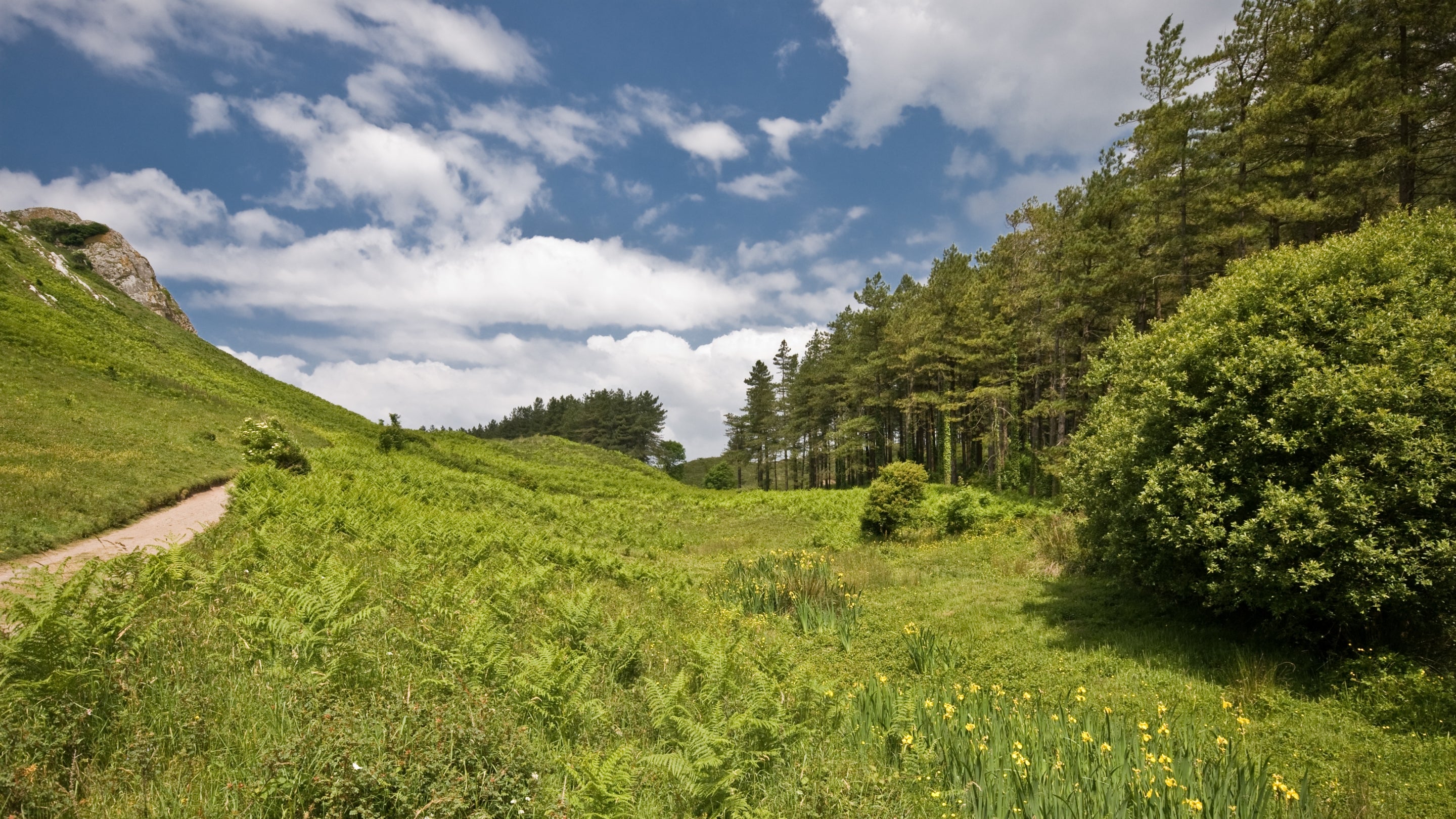 The surrounding area at Burrows Cottage, Swansea