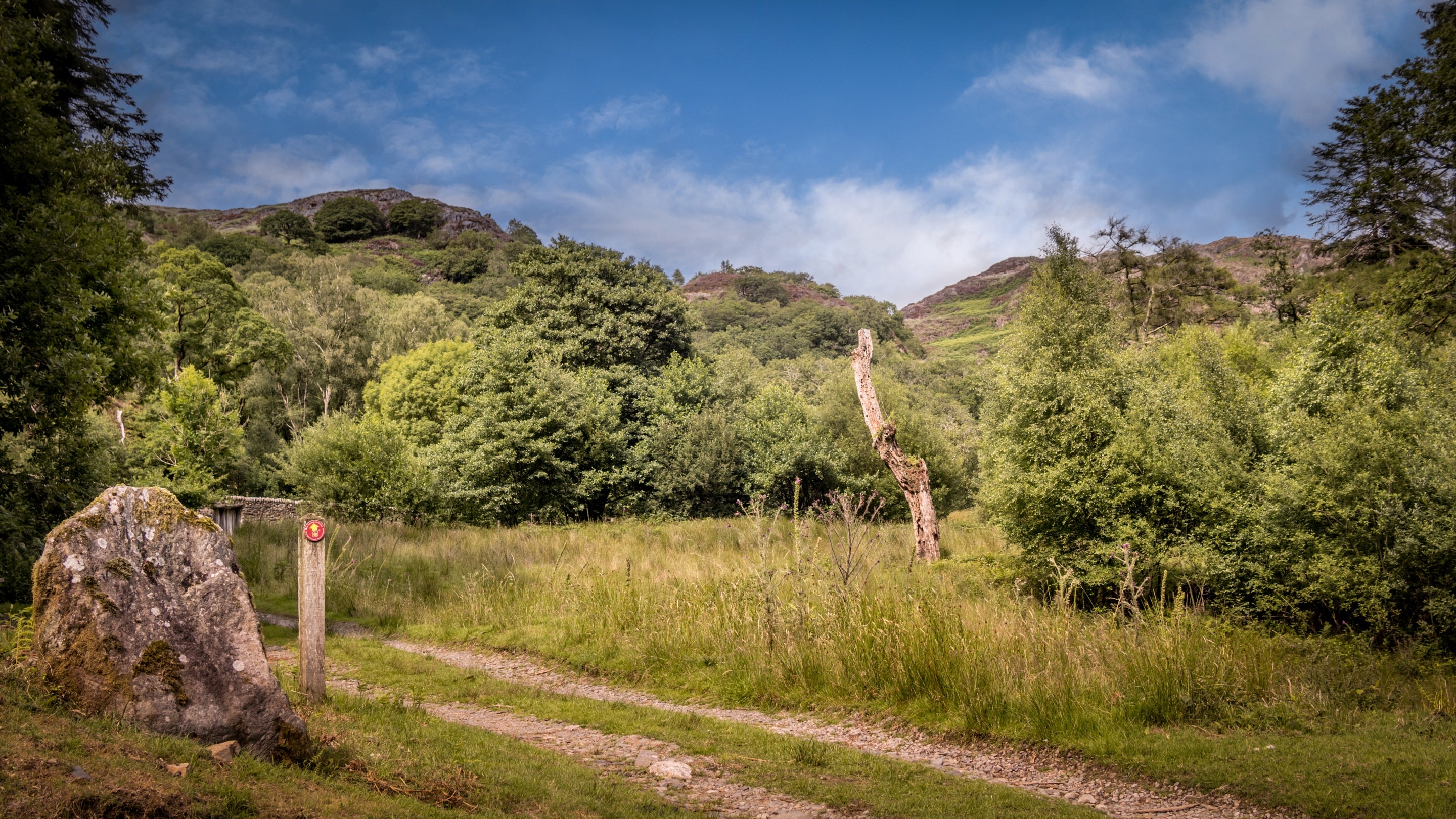 The area surrounding Bwthyn Mai, Gwynedd