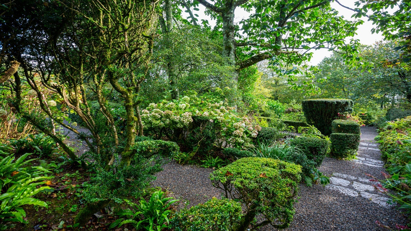 The garden at Bwthyn yr Ardd, Llŷn Peninsula, Gwynedd