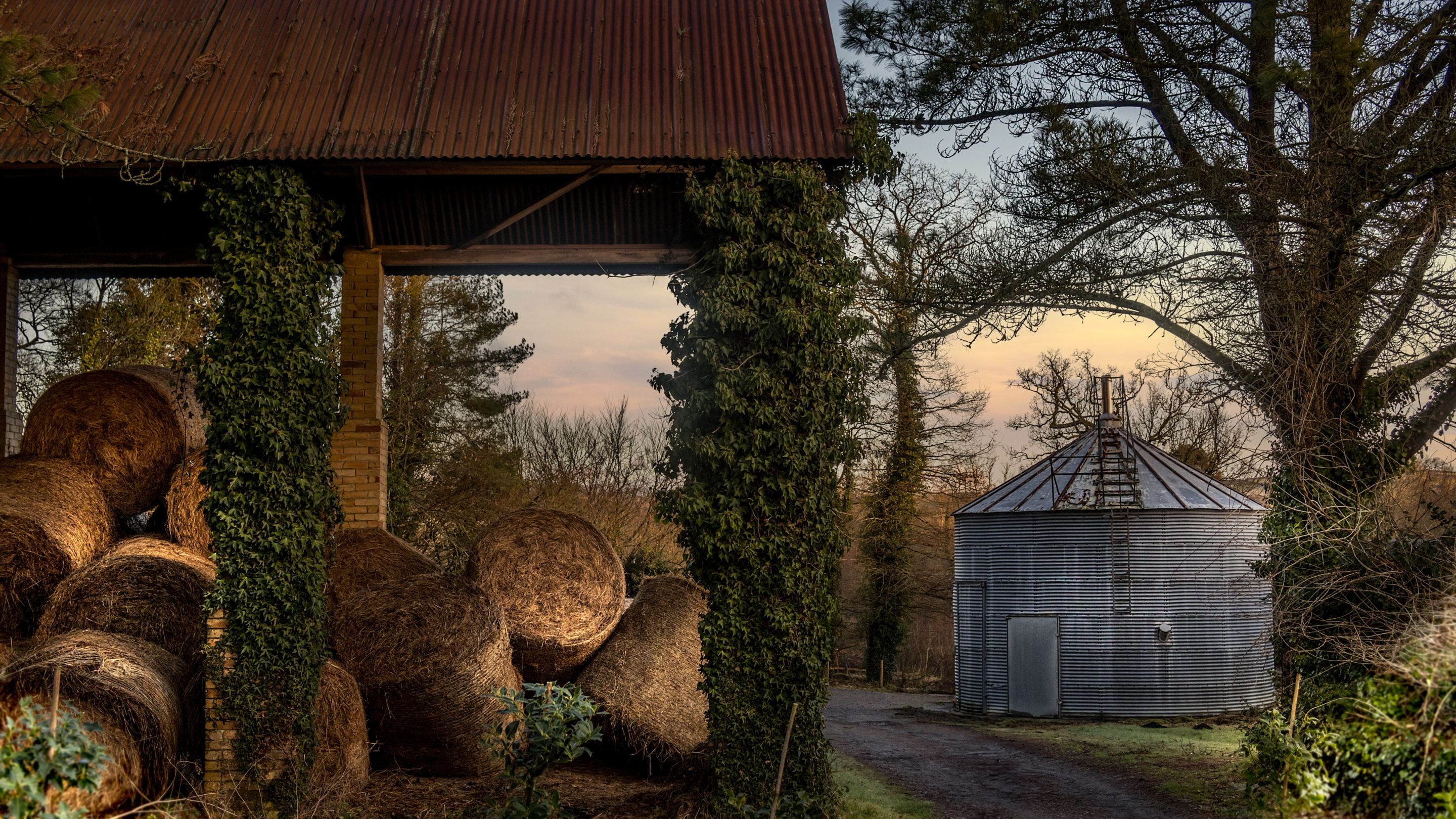 Farm buildings in the area around Cariad Cottage, Carmarthenshire