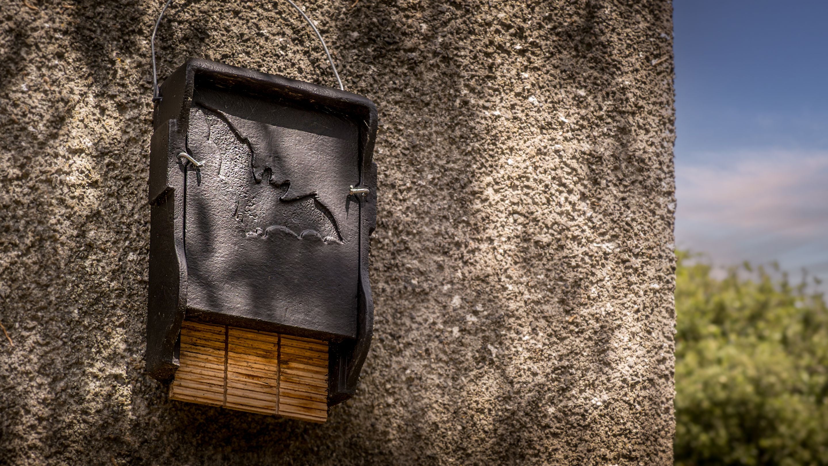 A bat box on a wall in Cawdor's garden, Pembrokeshire