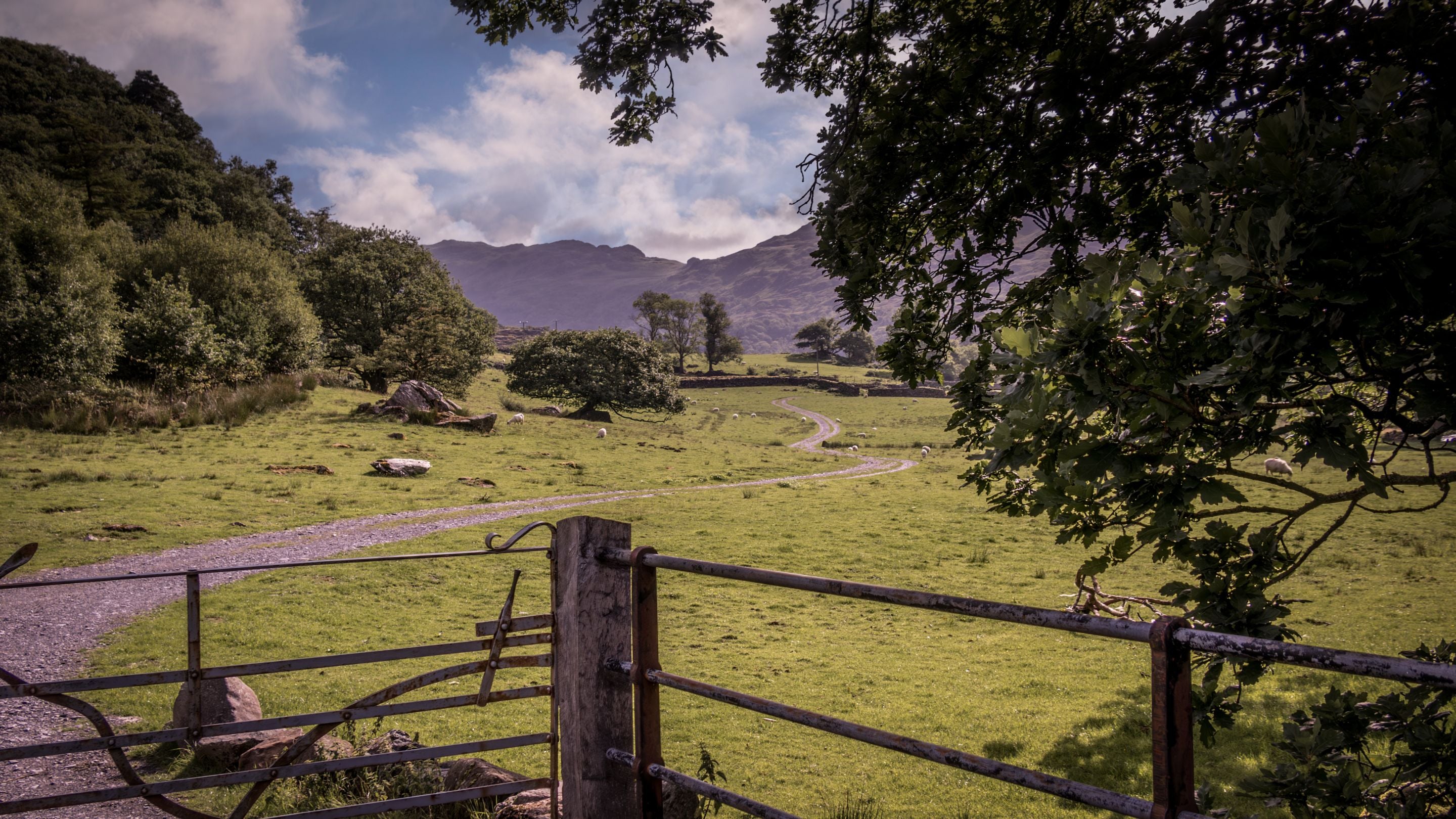 The area surrounding The Chalet at Tan Yr Ogof, Gwynedd