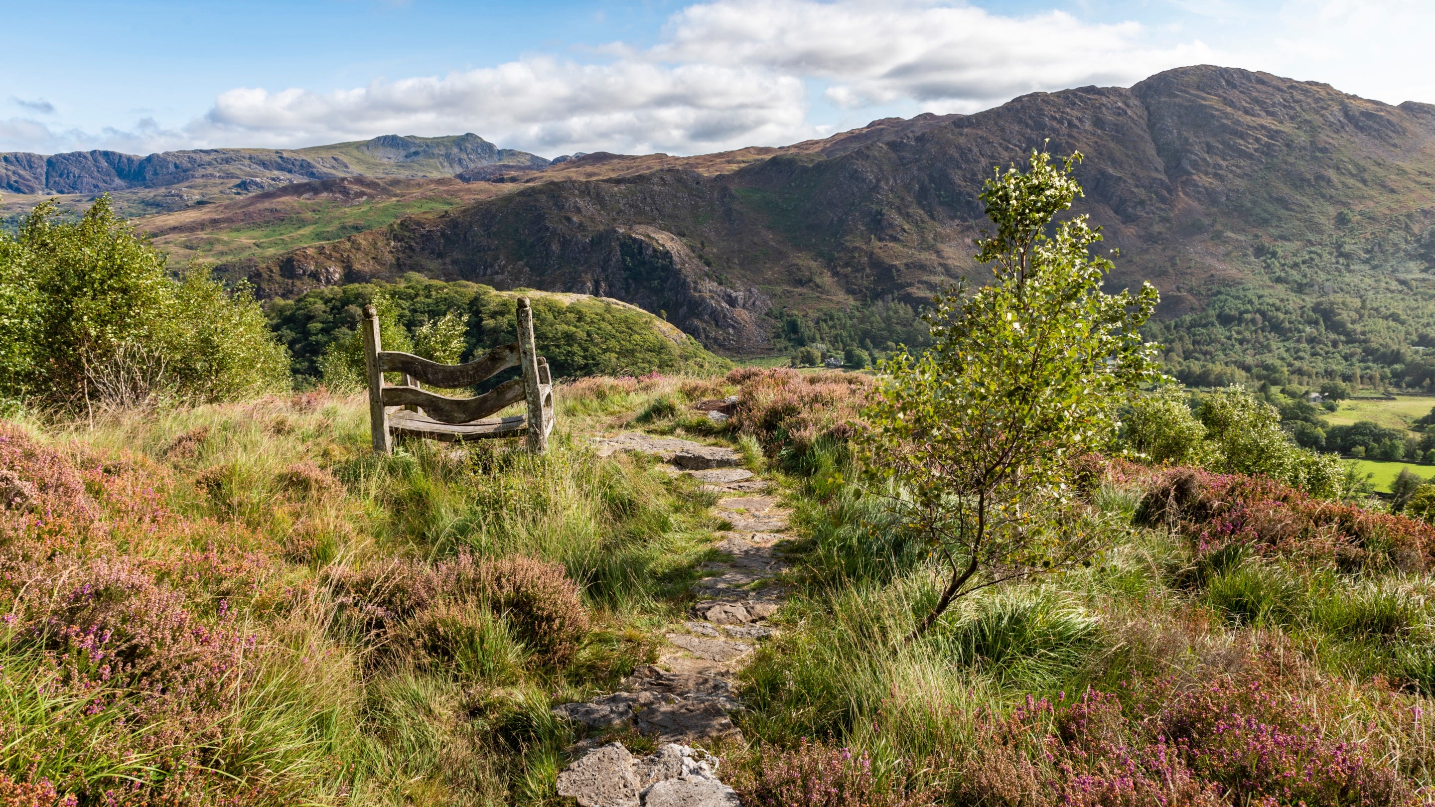 The area surrounding Craflwyn Hall, Gwynedd