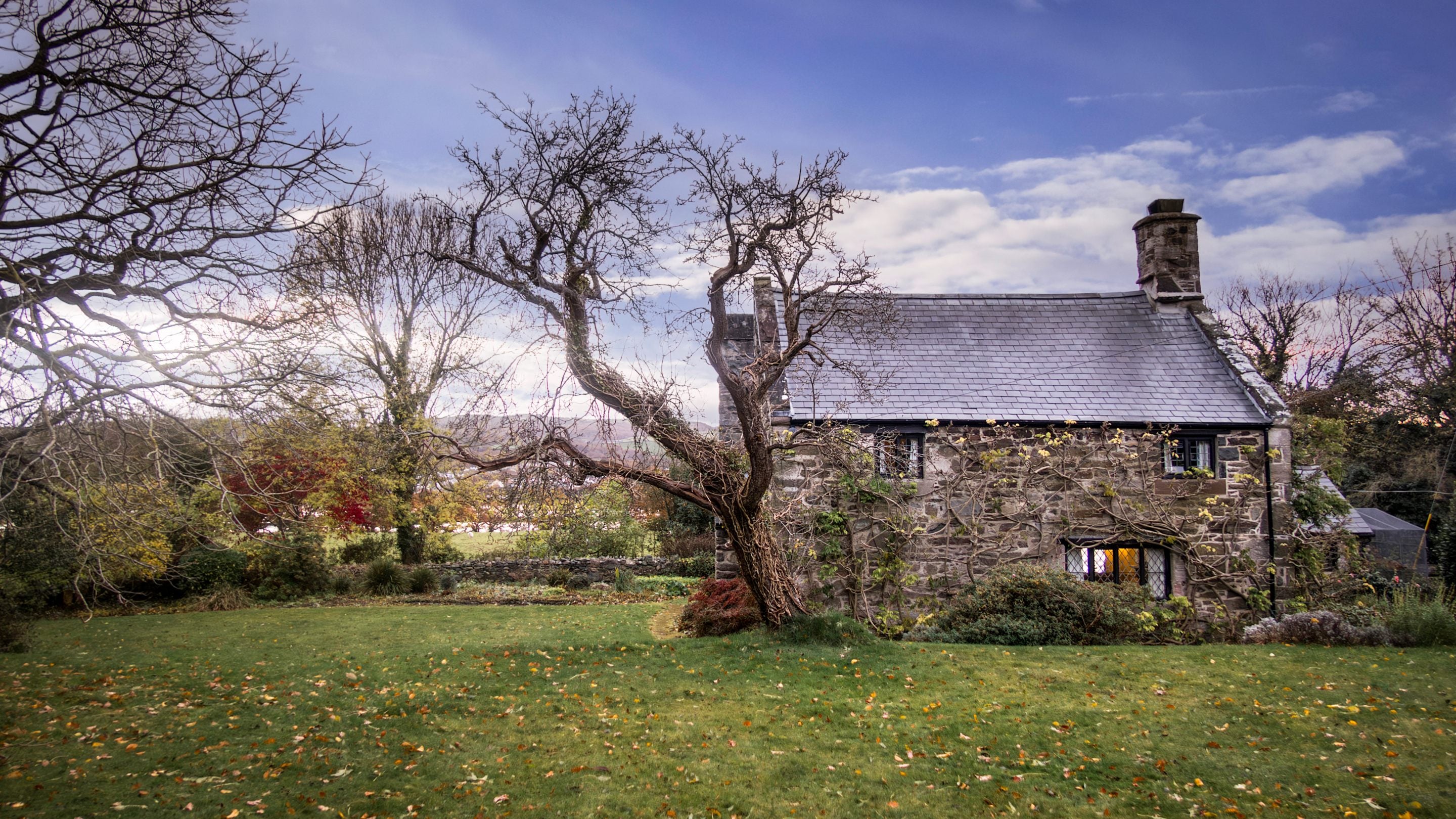 The garden at Cymryd, Conwy