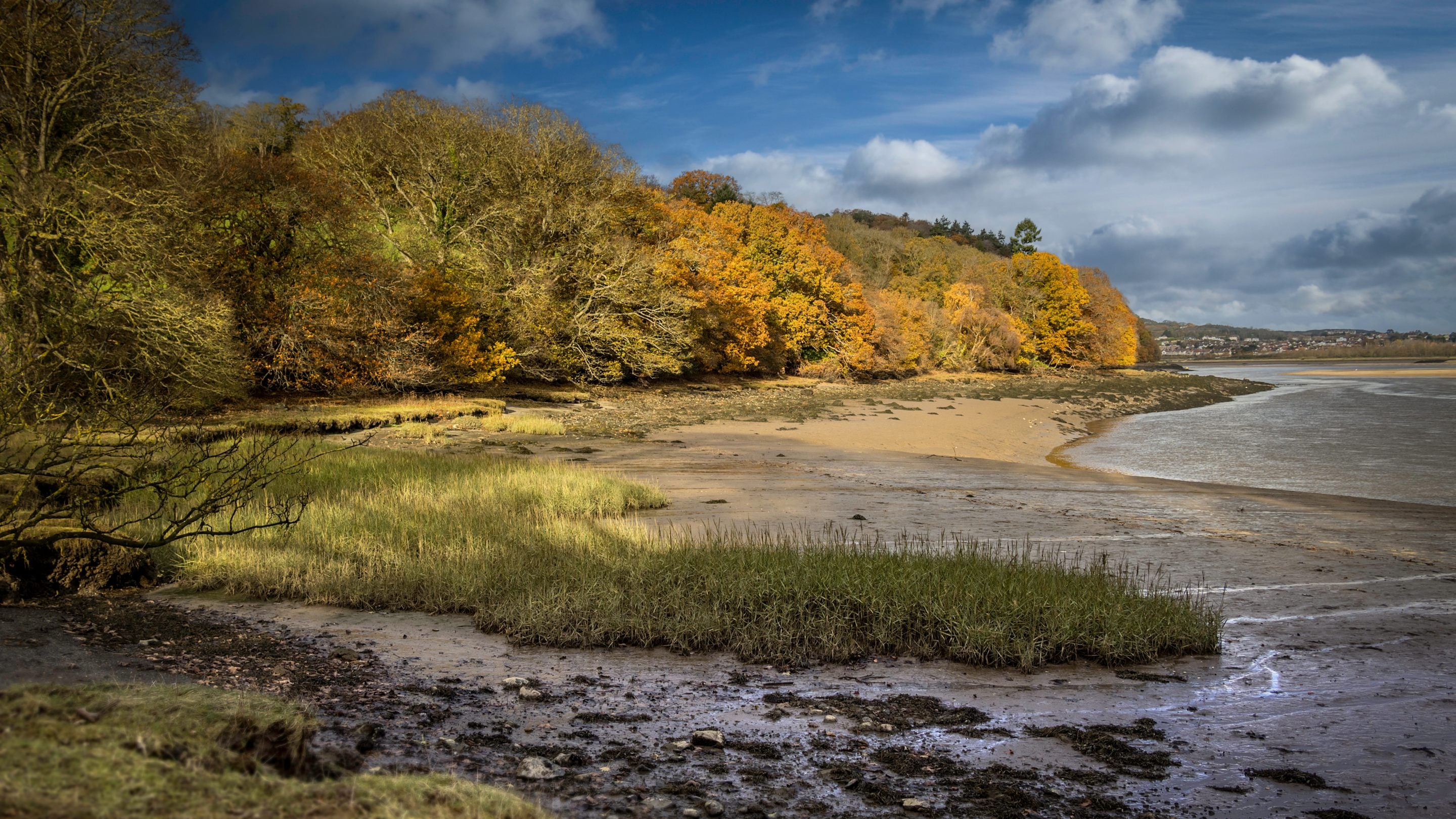 The surrounding area at Cymryd, Conwy