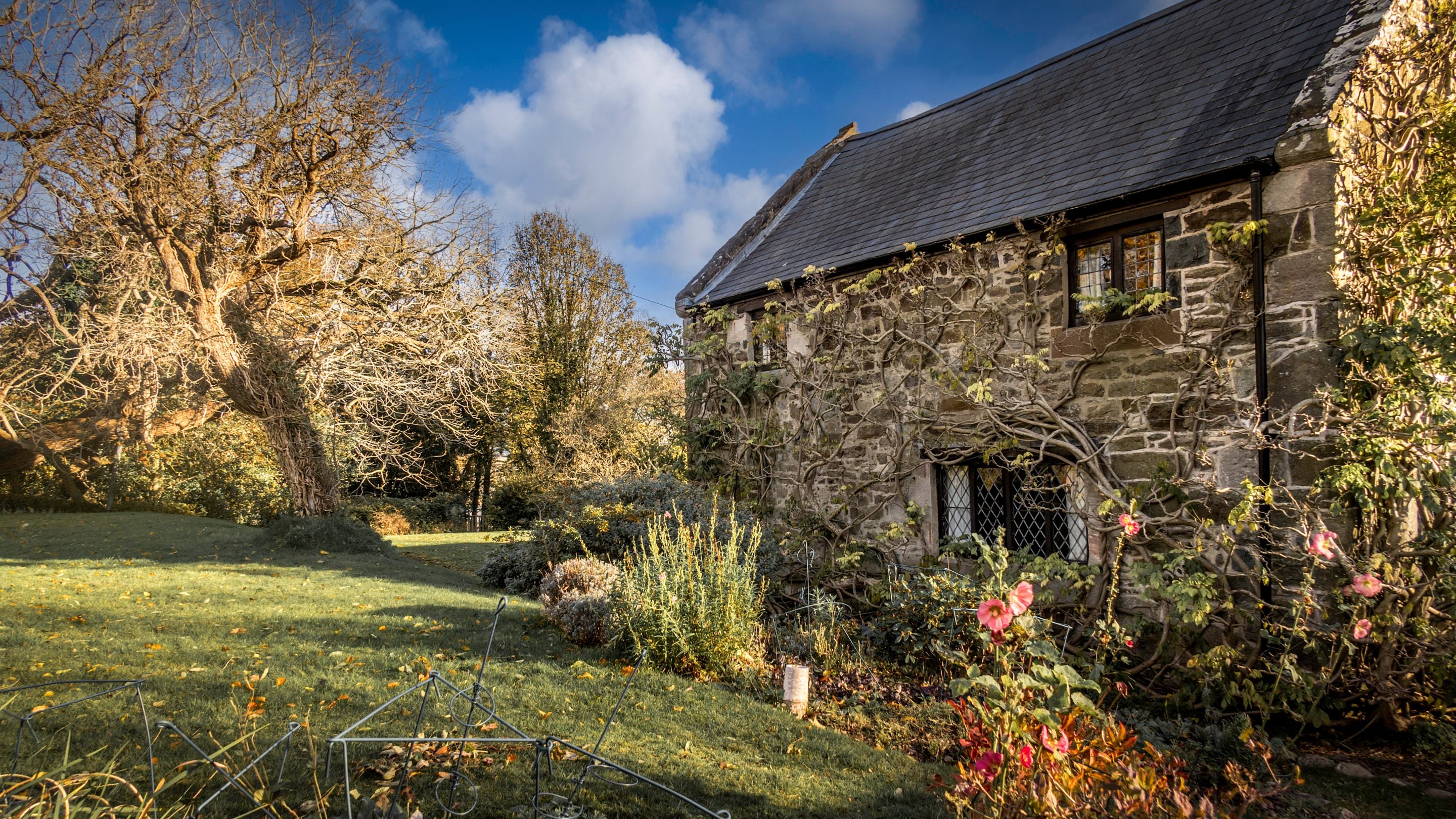The garden at Cymryd, Conwy