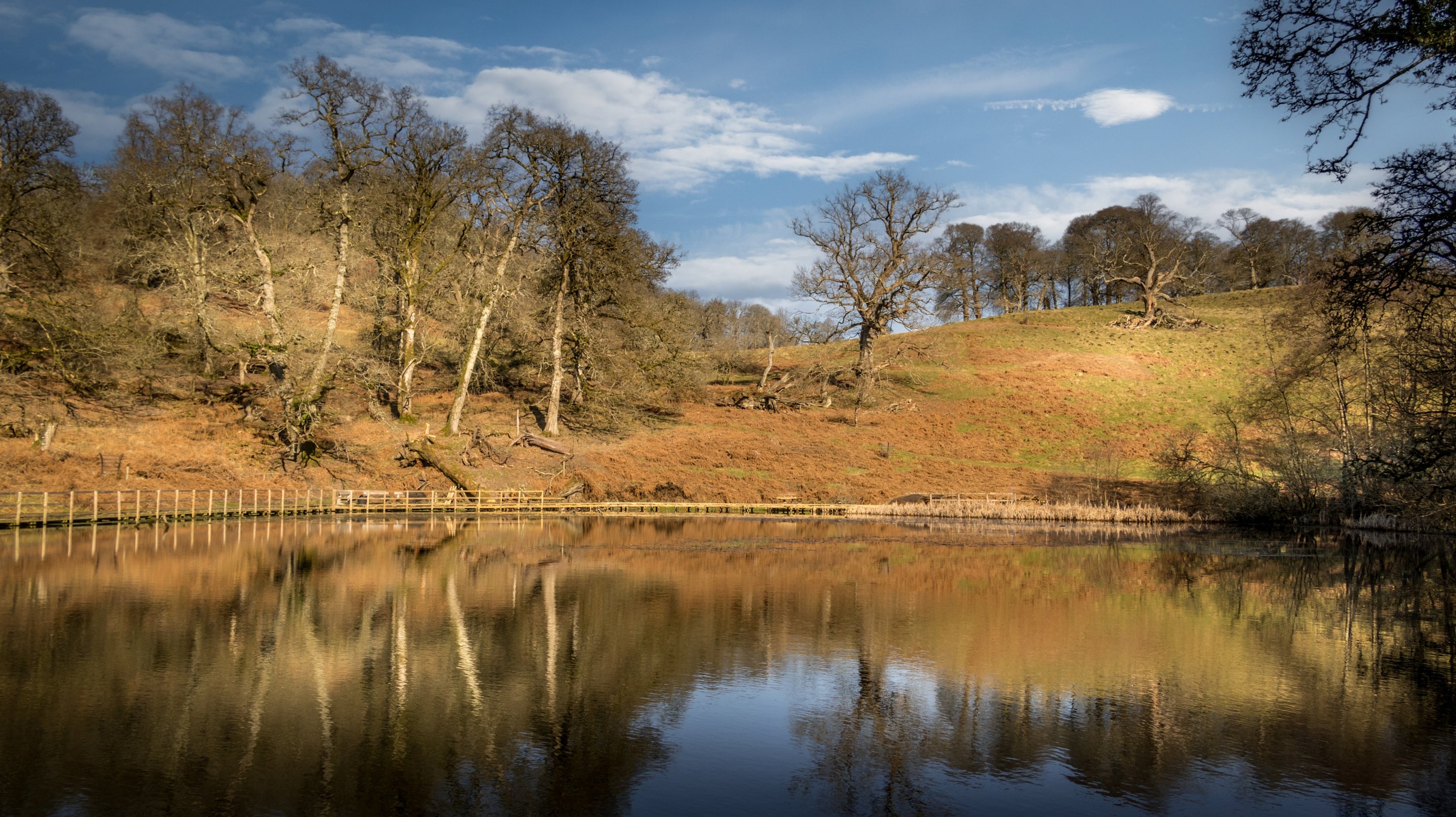 The area surrounding Dinefwr Deer Lodge, Carmarthenshire