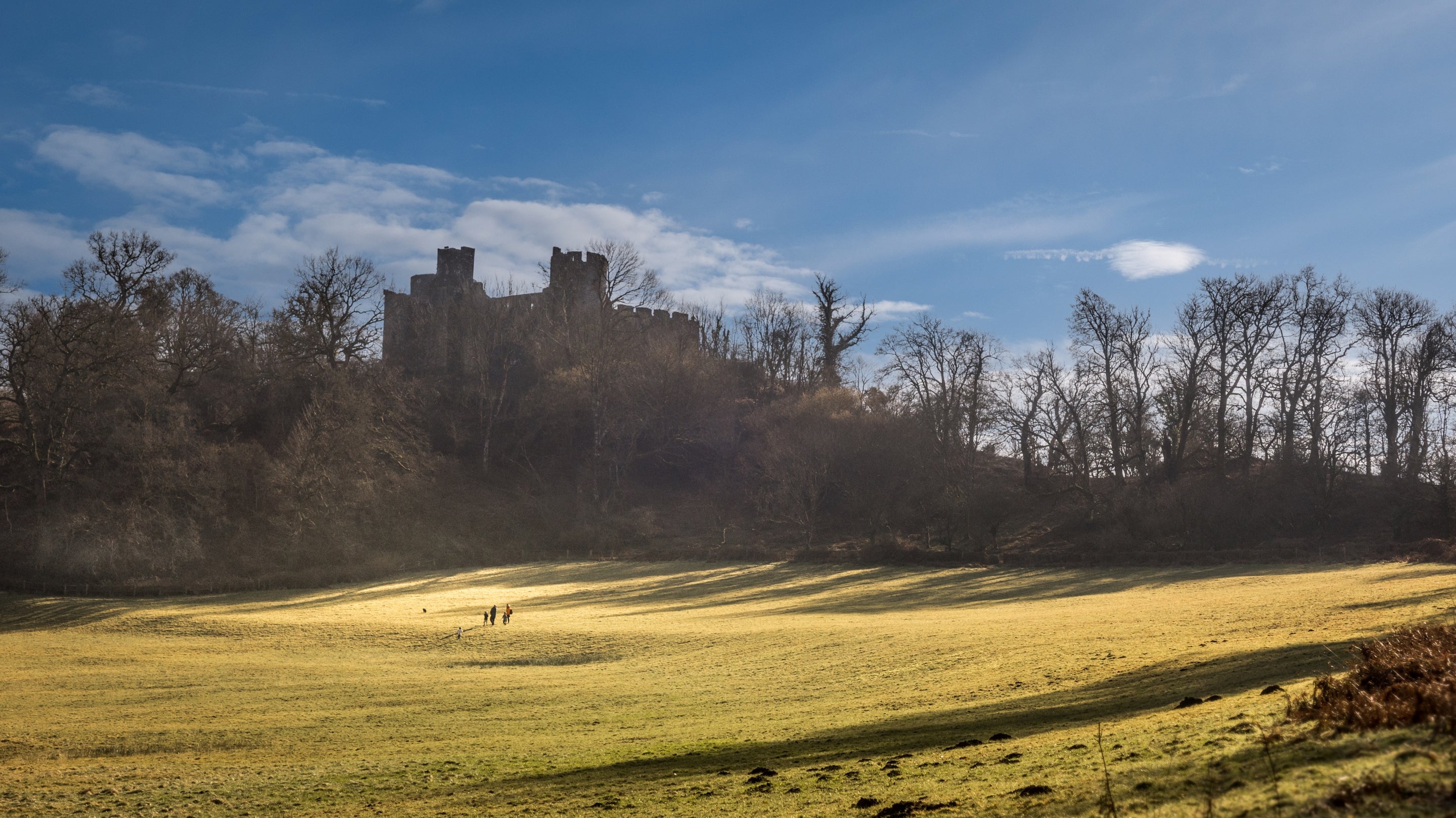 The area surrounding Dinefwr Deer Lodge, Carmarthenshire
