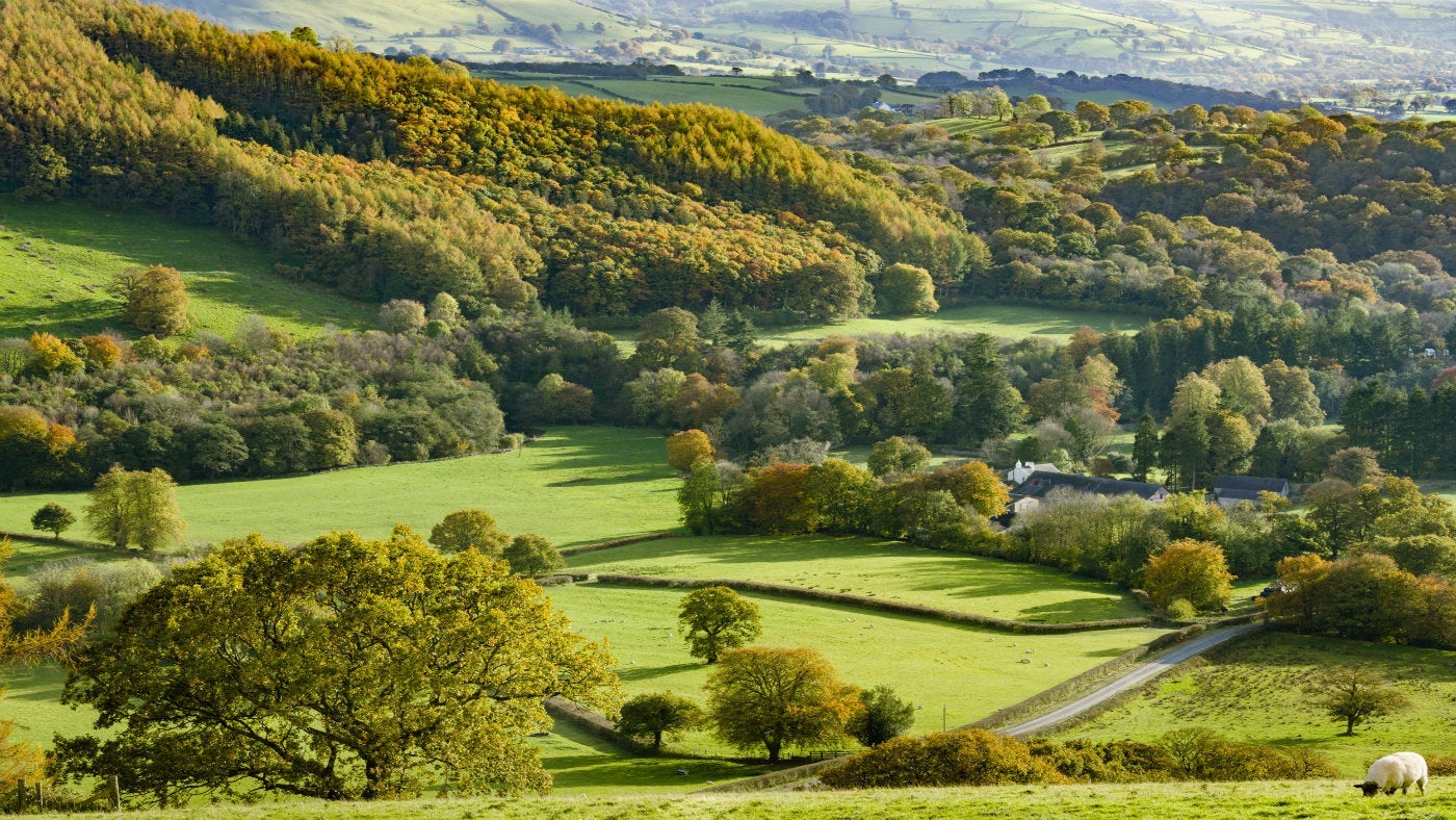 View of farm, Dolaucothi campsite, Wales