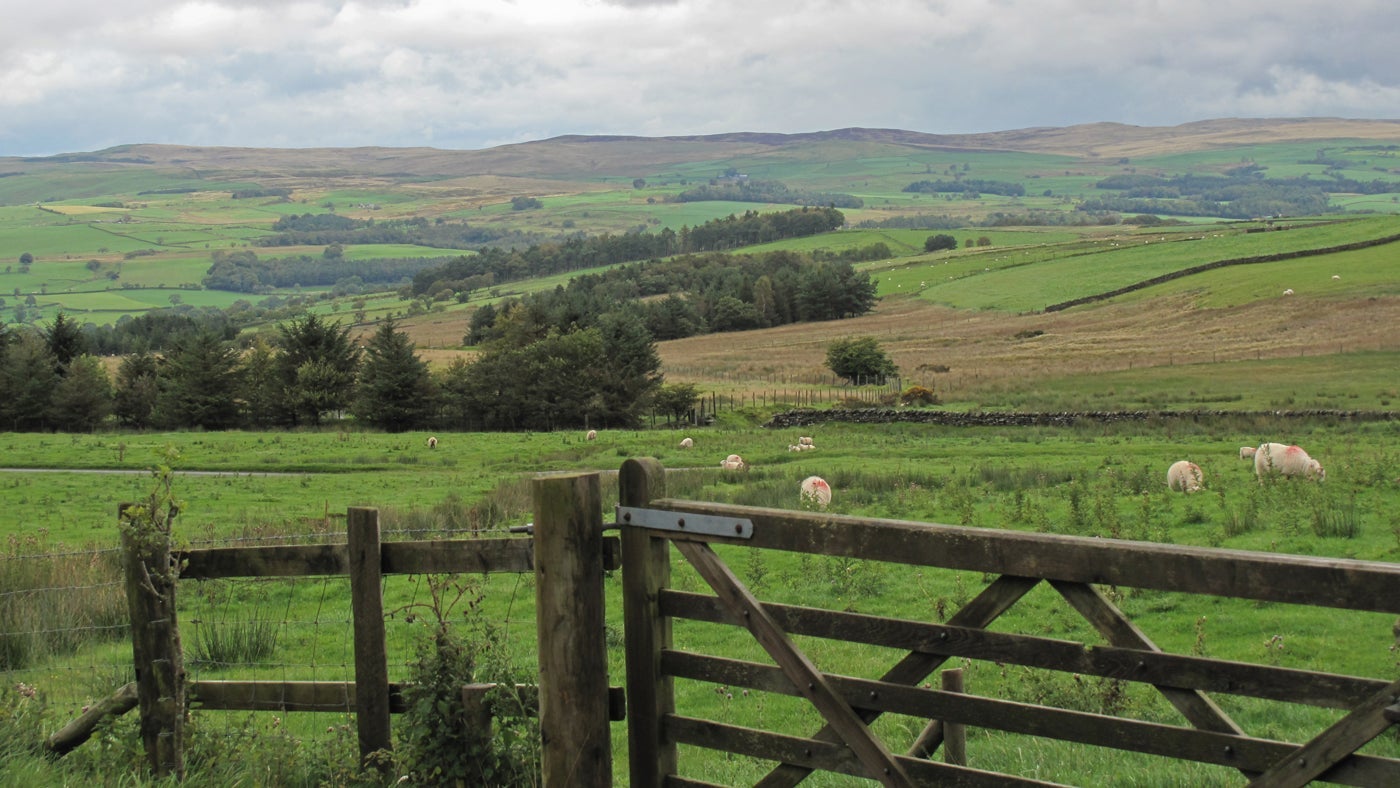 The view from Foel Gopyn, nr Betws-y-Coed, Conwy