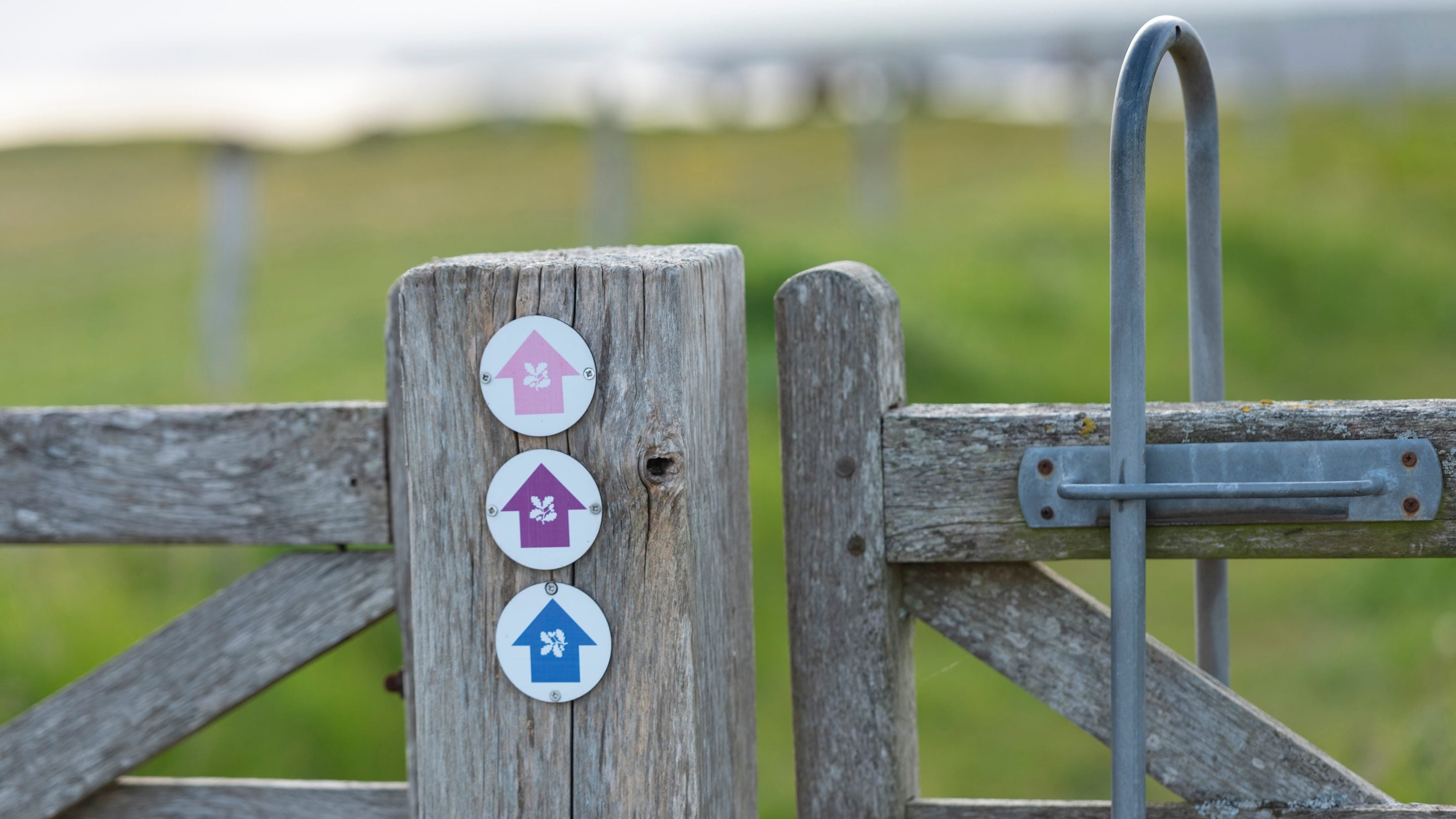 Trails at Gupton Farm Campsite, Pembrokeshire