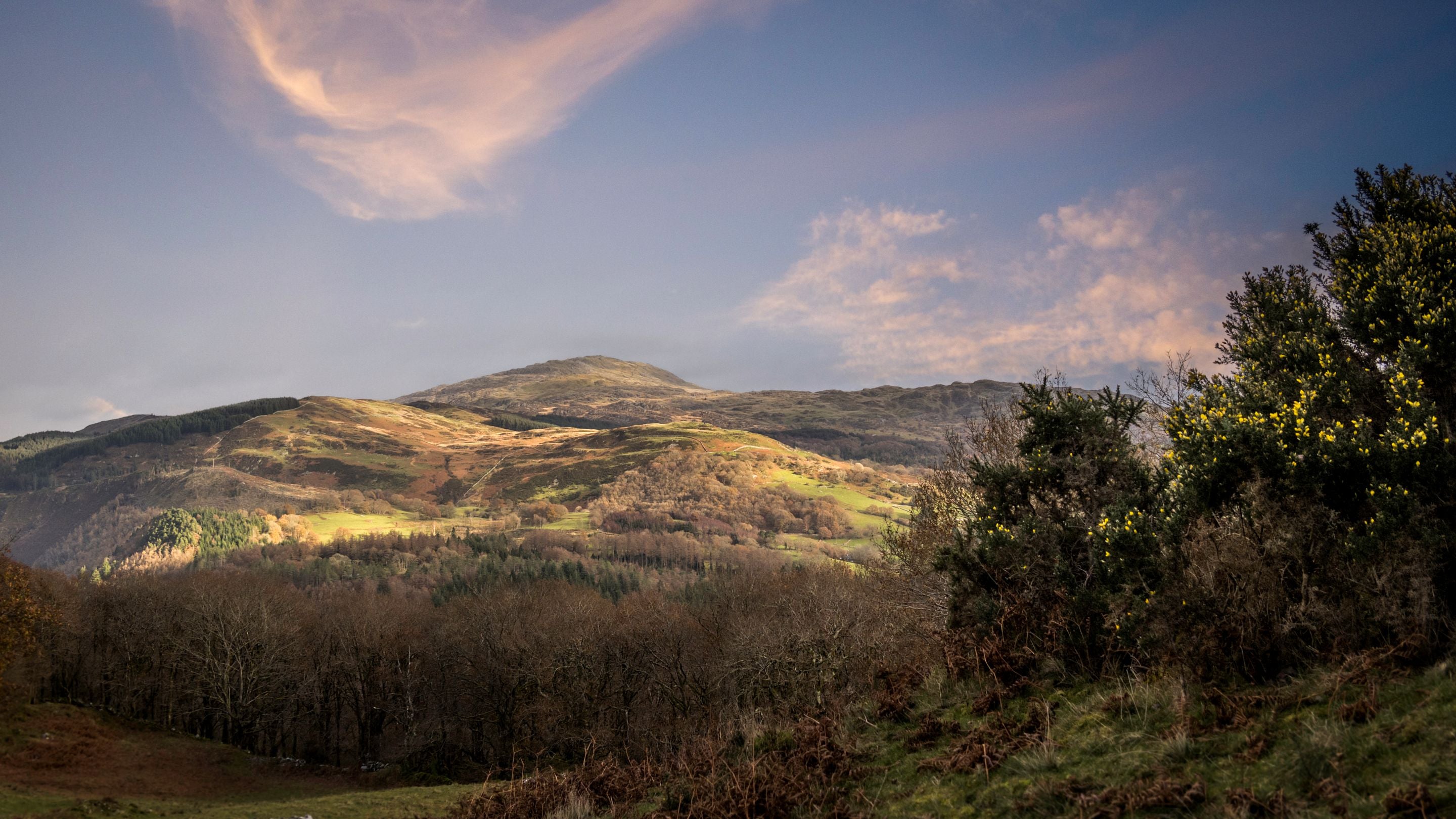 The surrounding area at Hafod y Fedw, Gwynedd